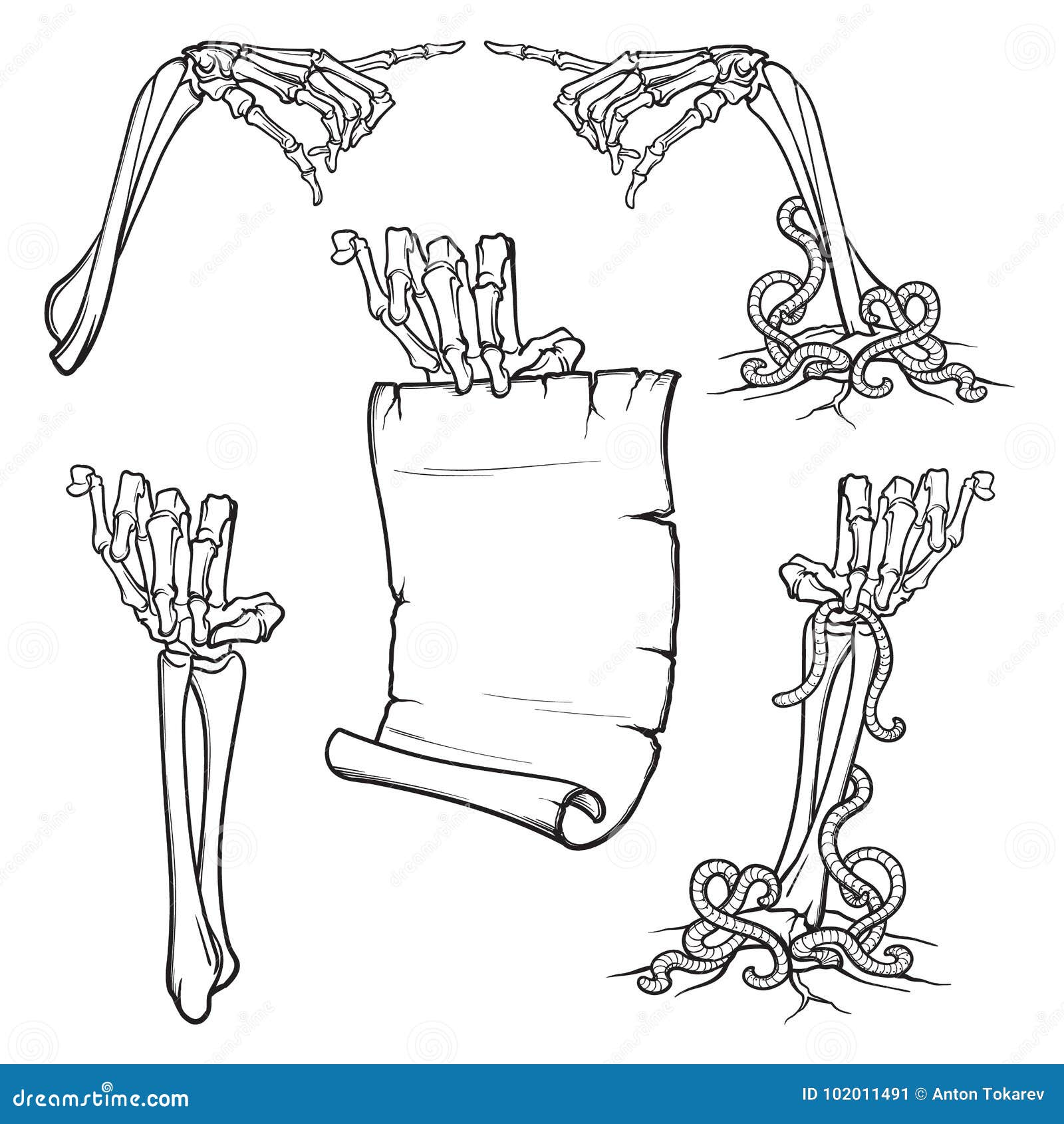 Skeleton Hands Stock Illustrations – 1,904 Skeleton Hands Stock  Illustrations, Vectors & Clipart - Dreamstime