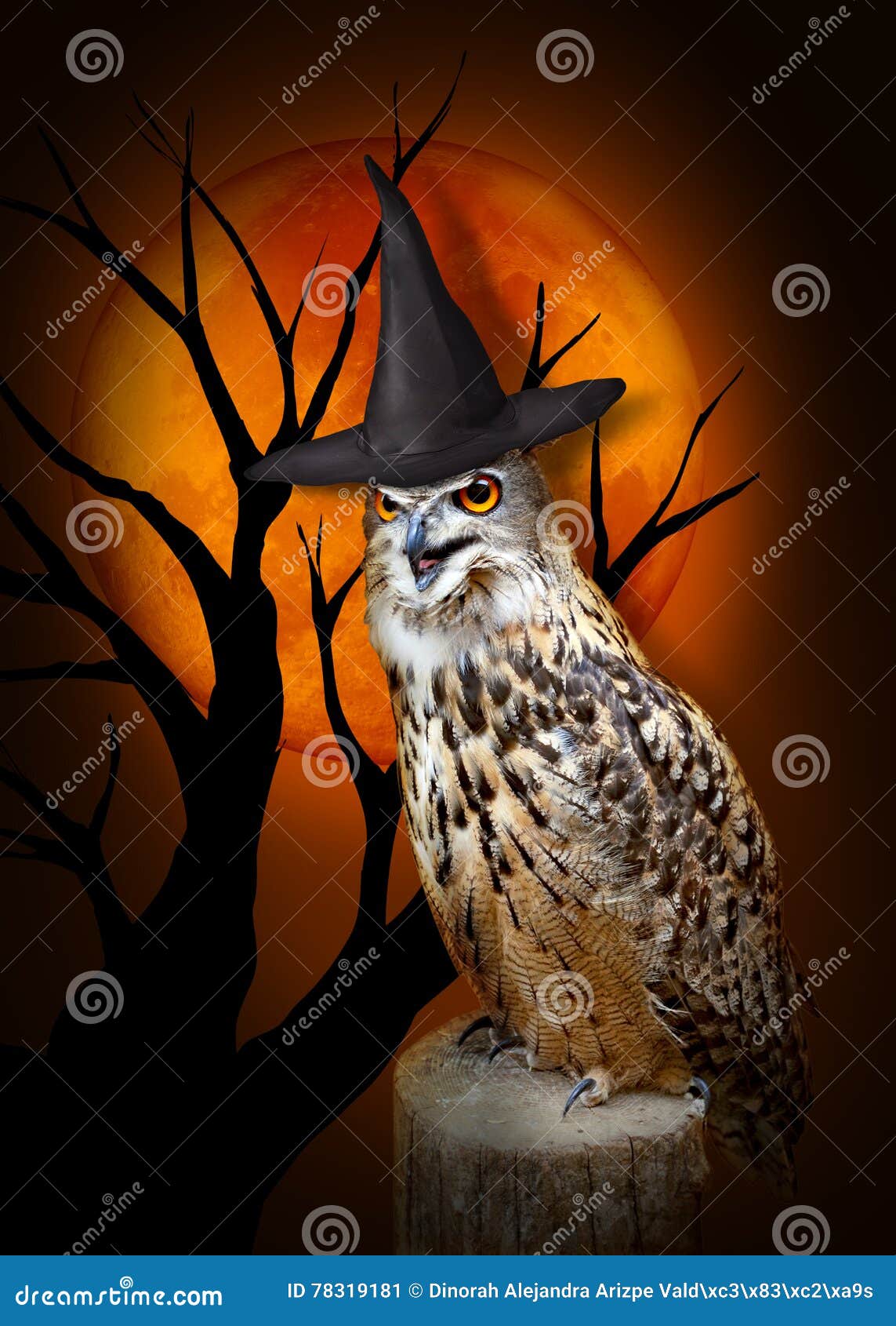 Halloween-Eule mit Hut stockbild. Bild von feier, erschrecken - 78319181