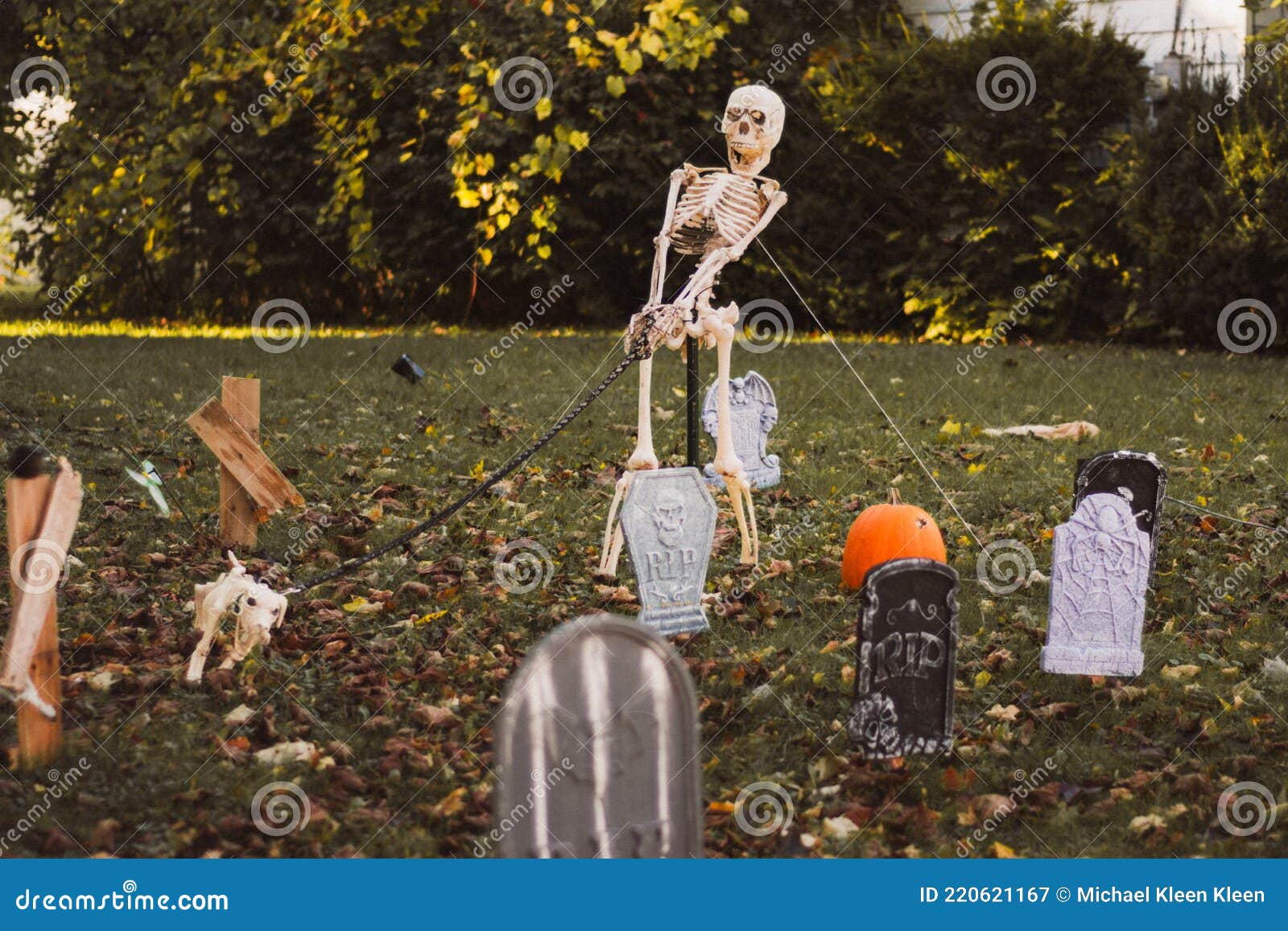 Halloween Skelett für den Garten