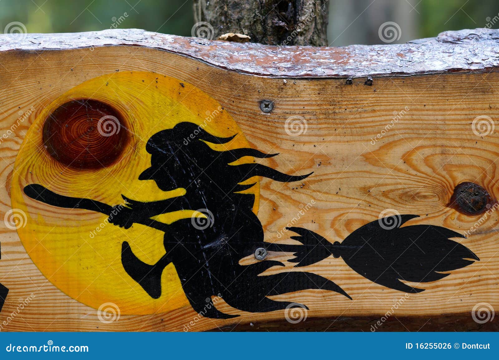 Halloween Guide Sign with Witch Stock Photo Image of artistic