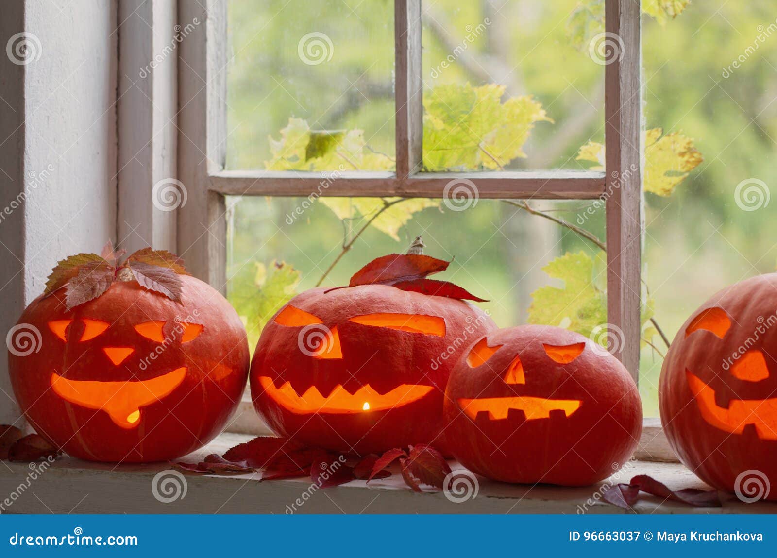 Die Halloween-Kürbise auf Fenster