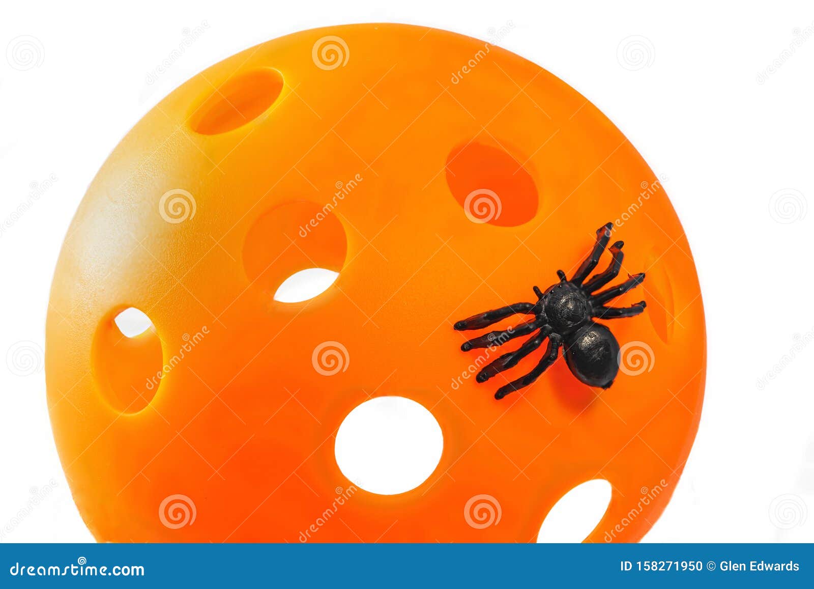 Halloween Pickleball Spider Stock Photo Image of crawling, object