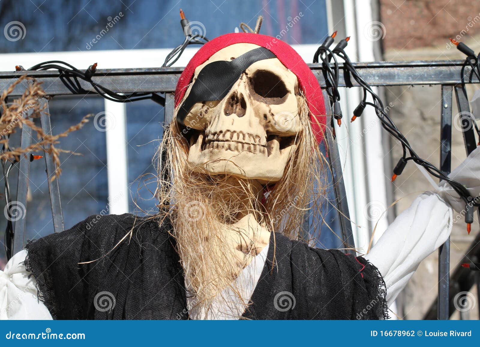 Halloween pirate stock photo. Image of decoration, skeleton - 16678962