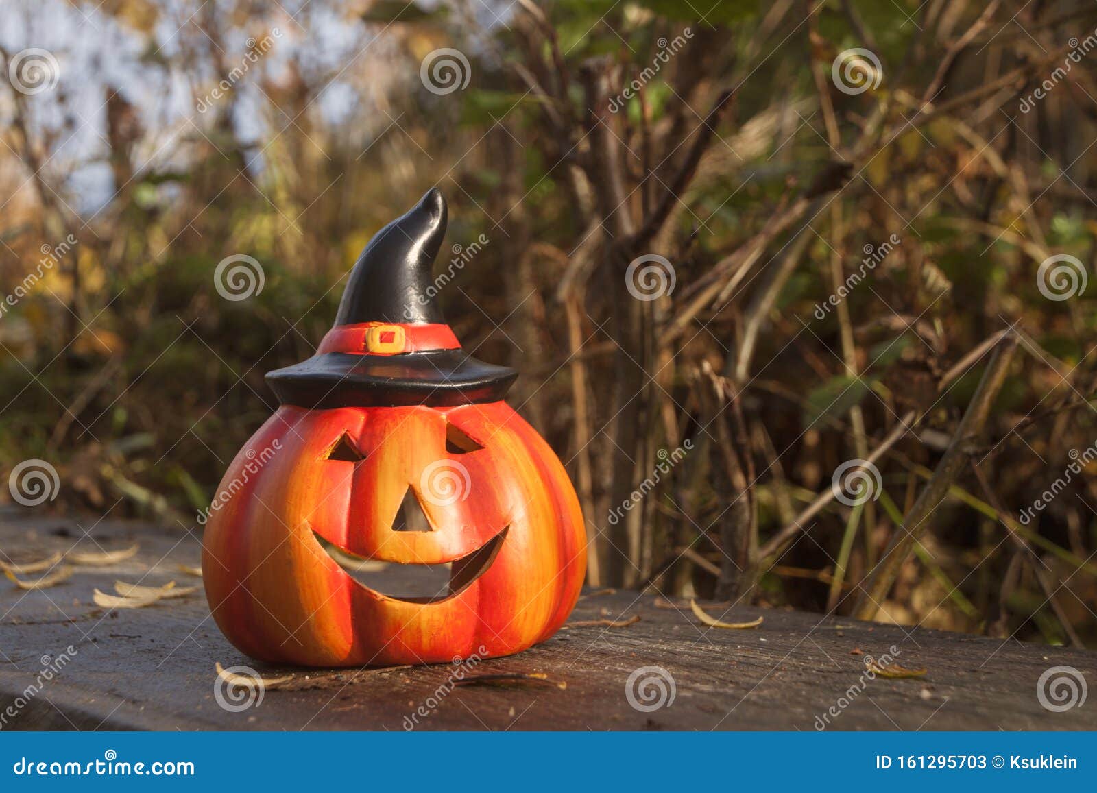Halloween Pumpkin in Autumn Forest. Fall Season Mood Photo Stock Image