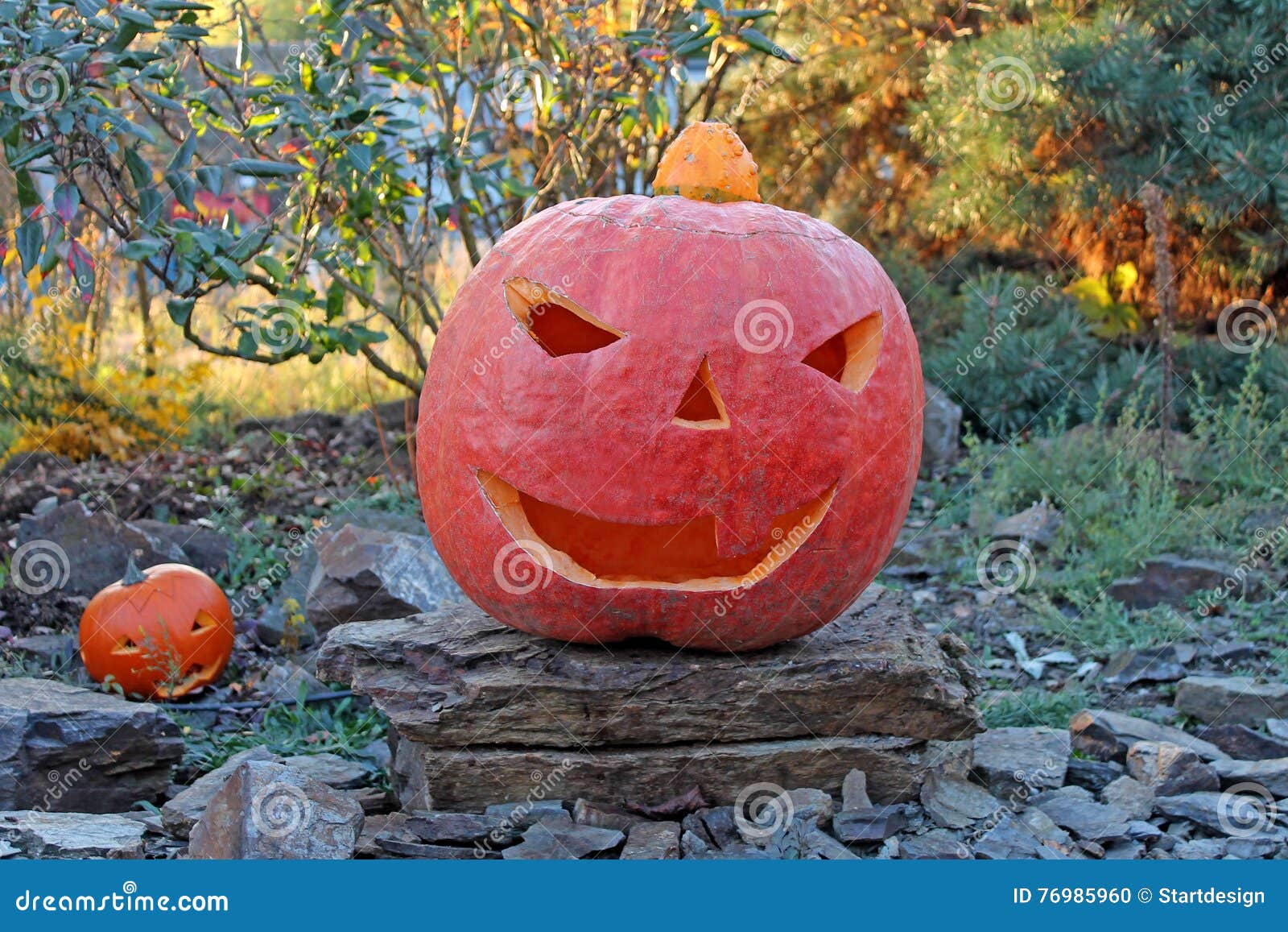Halloween Pumpkin At A Garden Stock Photo Image Of Head Craft