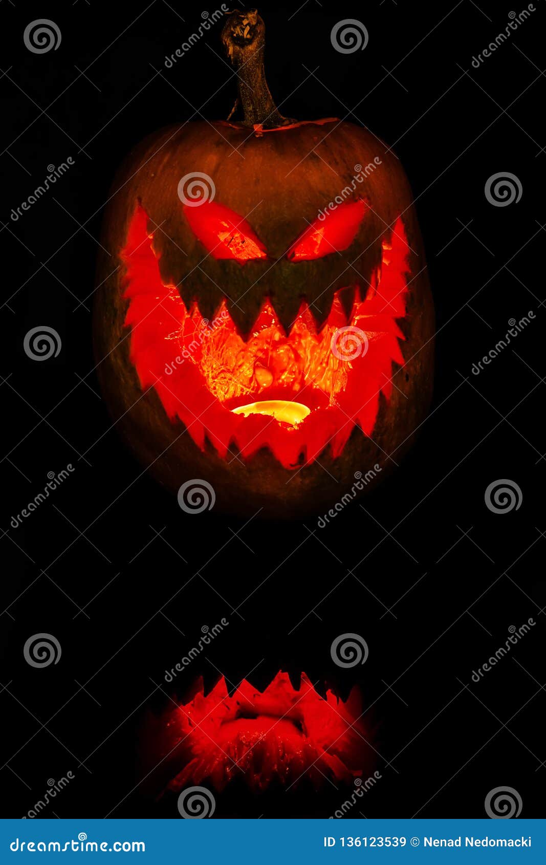 halloween pumpkin jack o`lantern head