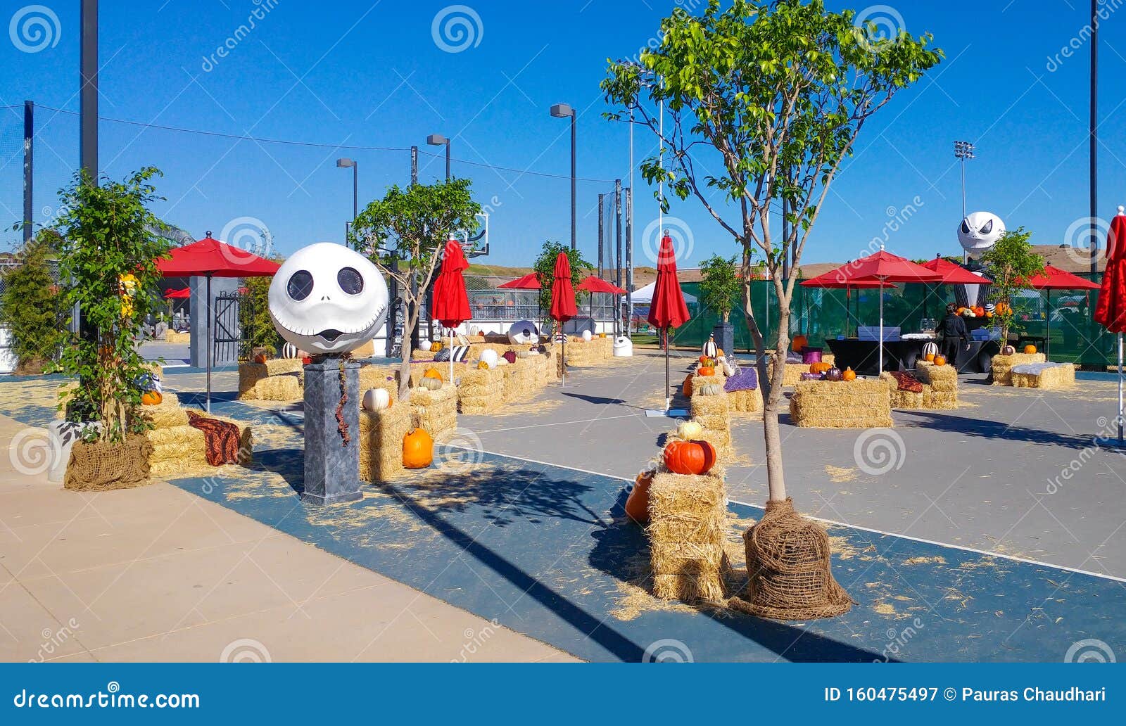 Halloween Pumpkin Patch Maze Party in Garfield Park Mountain View Stock