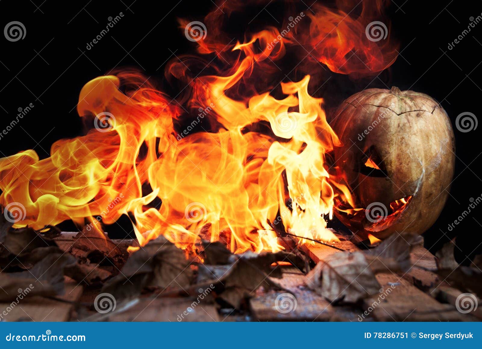 Halloween Pumpkin Spewing Flames Of Fire On A Black Background Stock