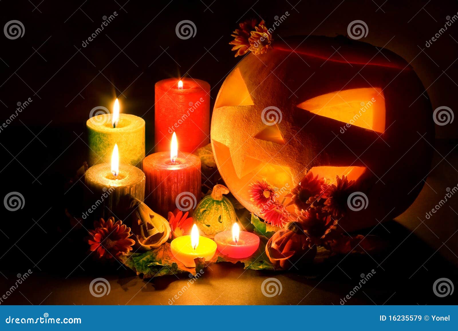 Halloween Pumpkin, Still Life. Stock Image - Image of glow, glowing ...