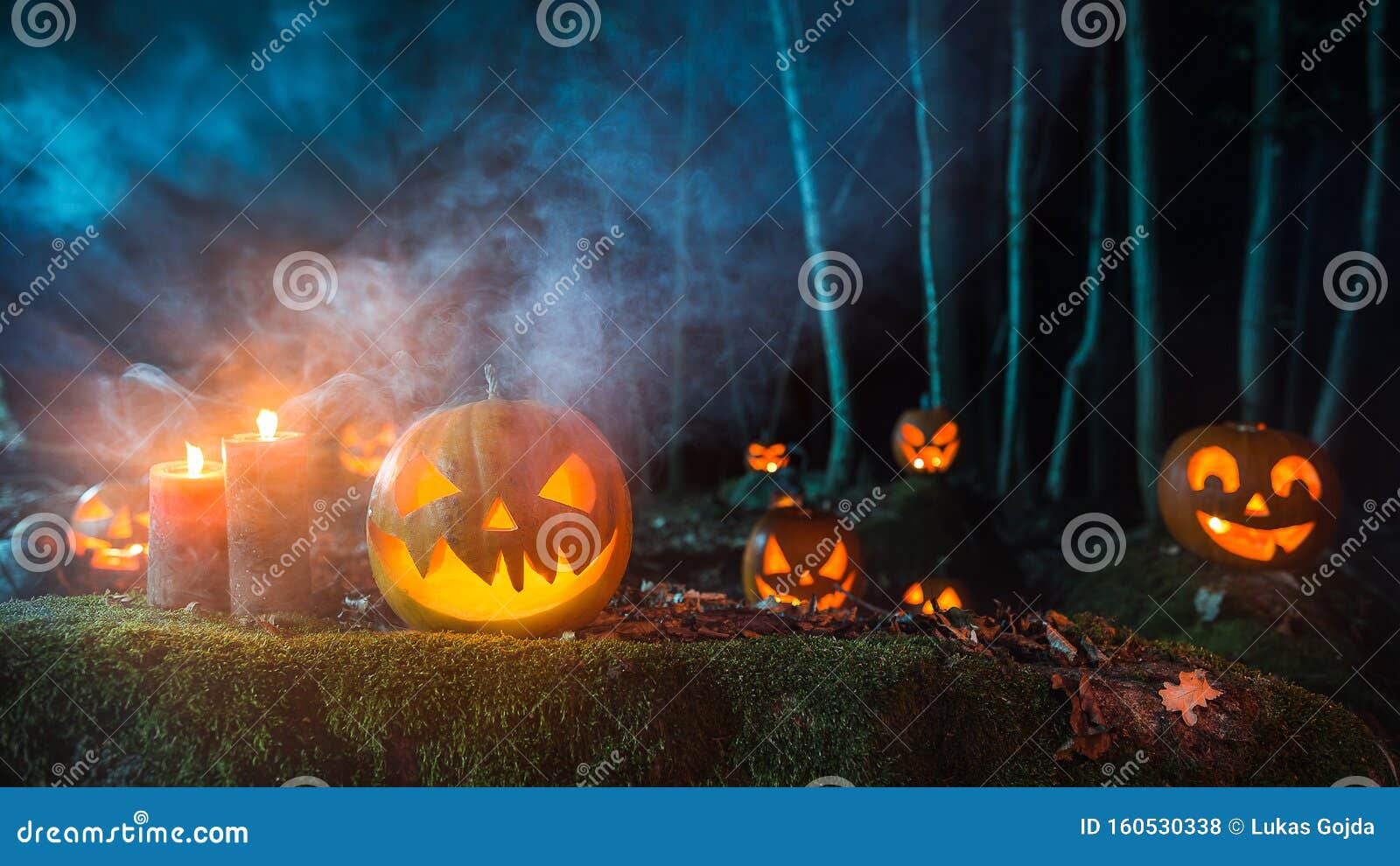 Halloween Pumpkins on Dark Spooky Forest. Stock Photo - Image of event ...