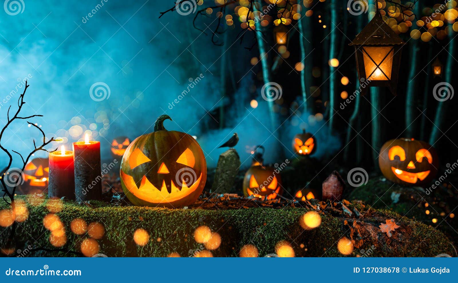 Halloween Pumpkins on Dark Spooky Forest. Stock Photo - Image of ...