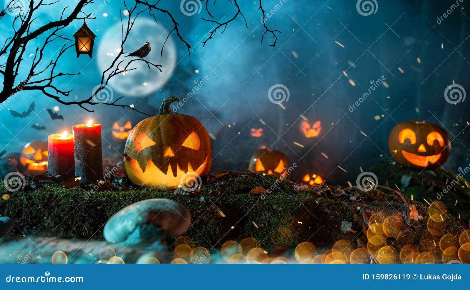 Halloween Pumpkins on Dark Spooky Forest. Stock Image - Image of deep ...