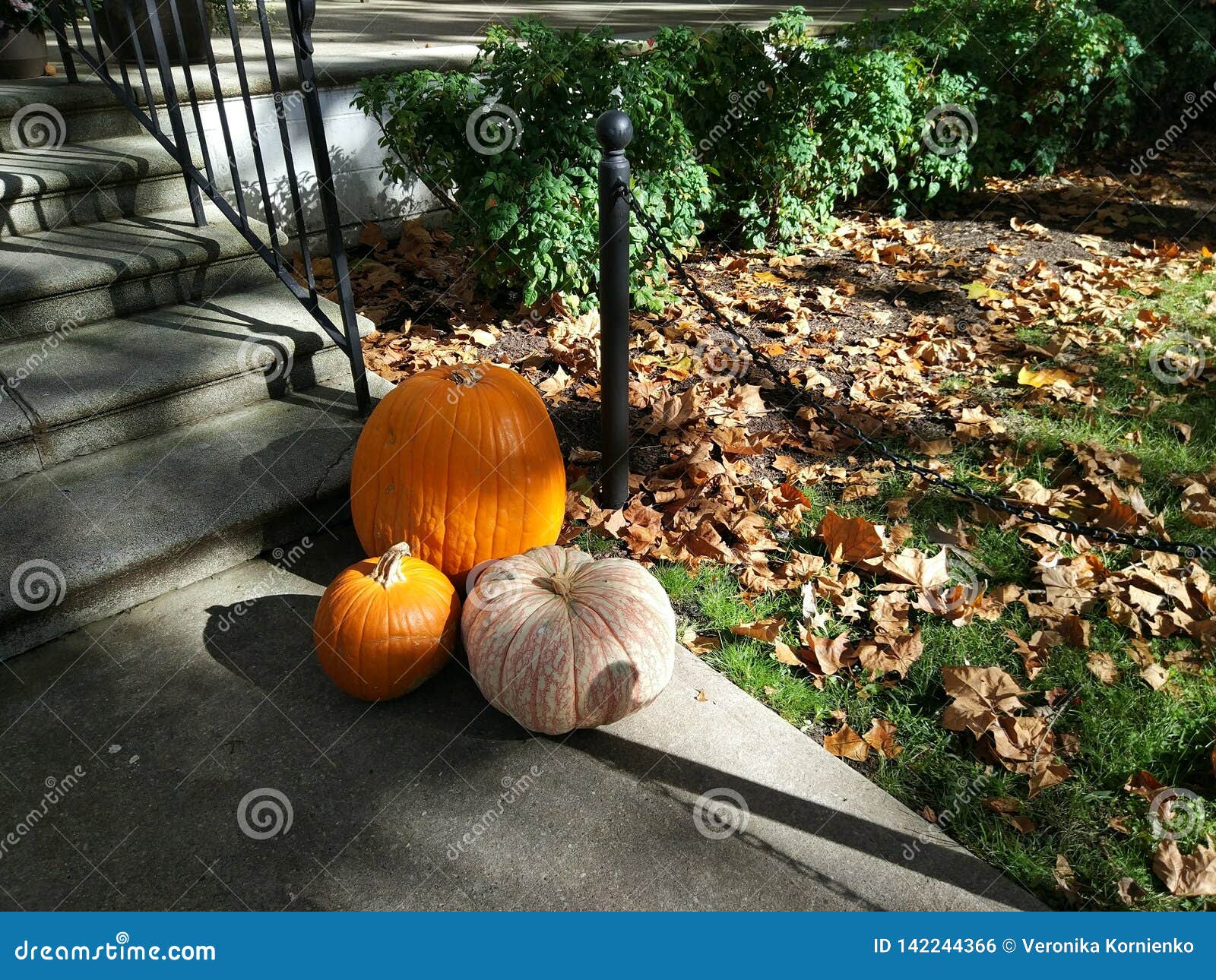 Halloween Pumpkins Near House, Autumn Spirit. Stock Photo - Image of food, season: 142244366
