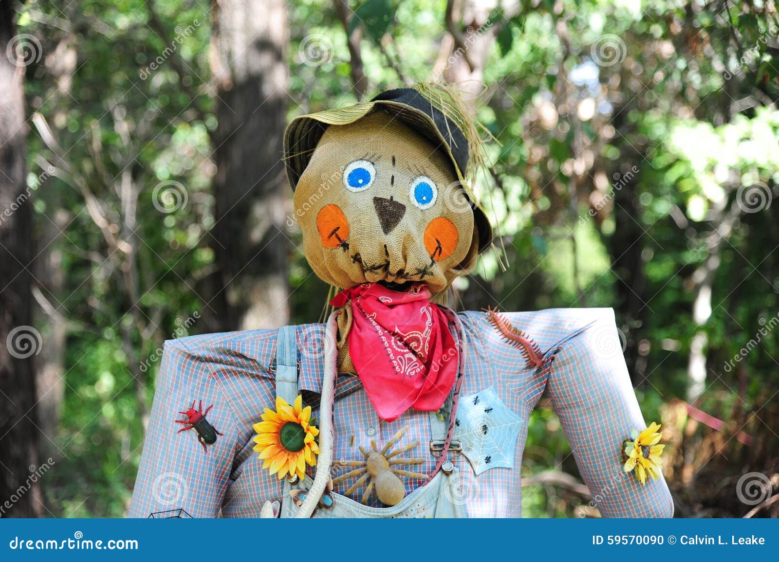 halloween scarecrow in a field.