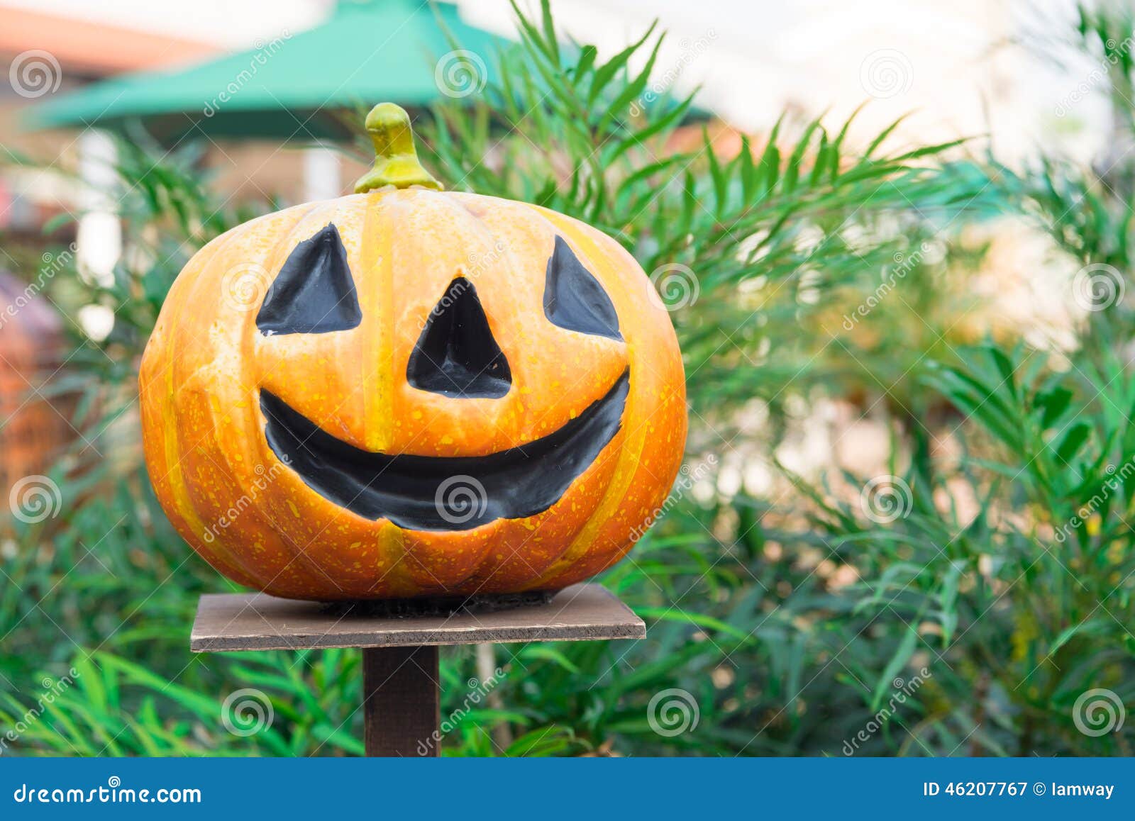 Carved Pumpkins, Smiling, on a Table Out of Doors Facing and Side