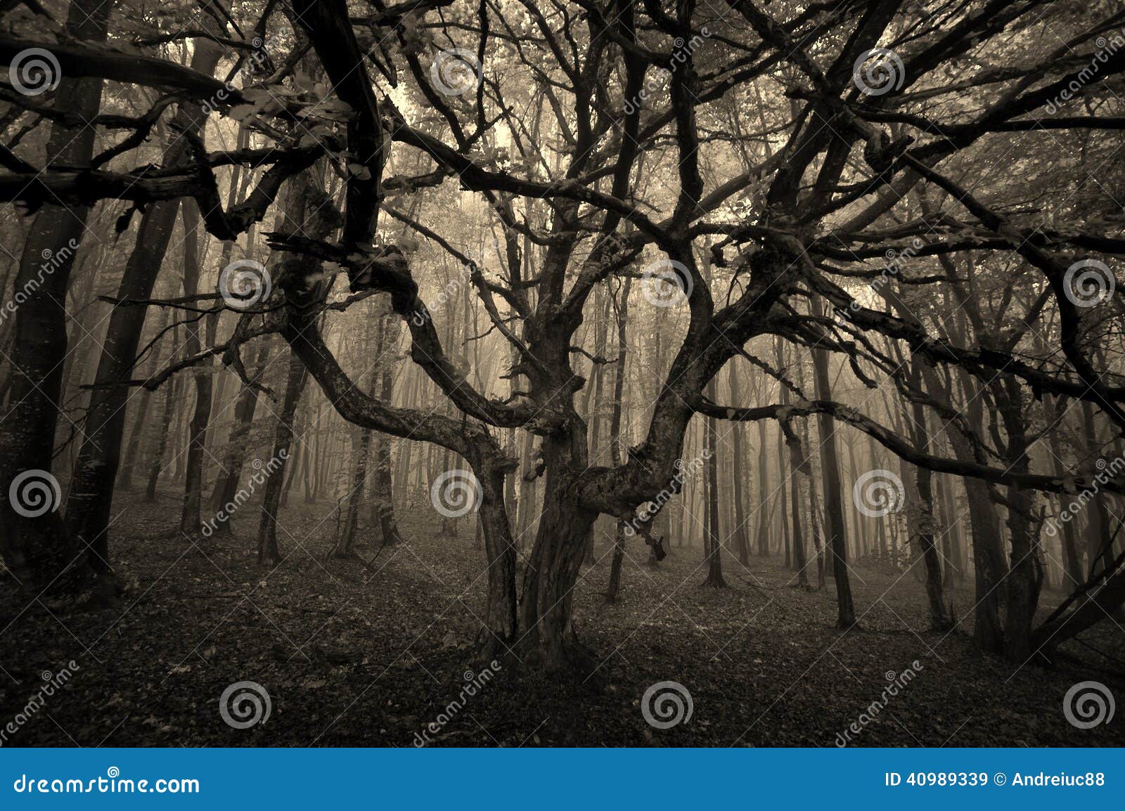 halloween tree with spread branches