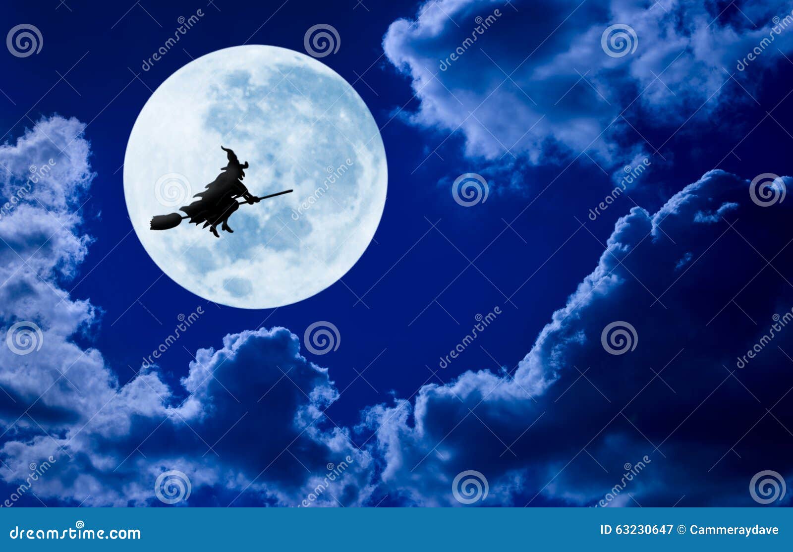 halloween witch flying moon sky