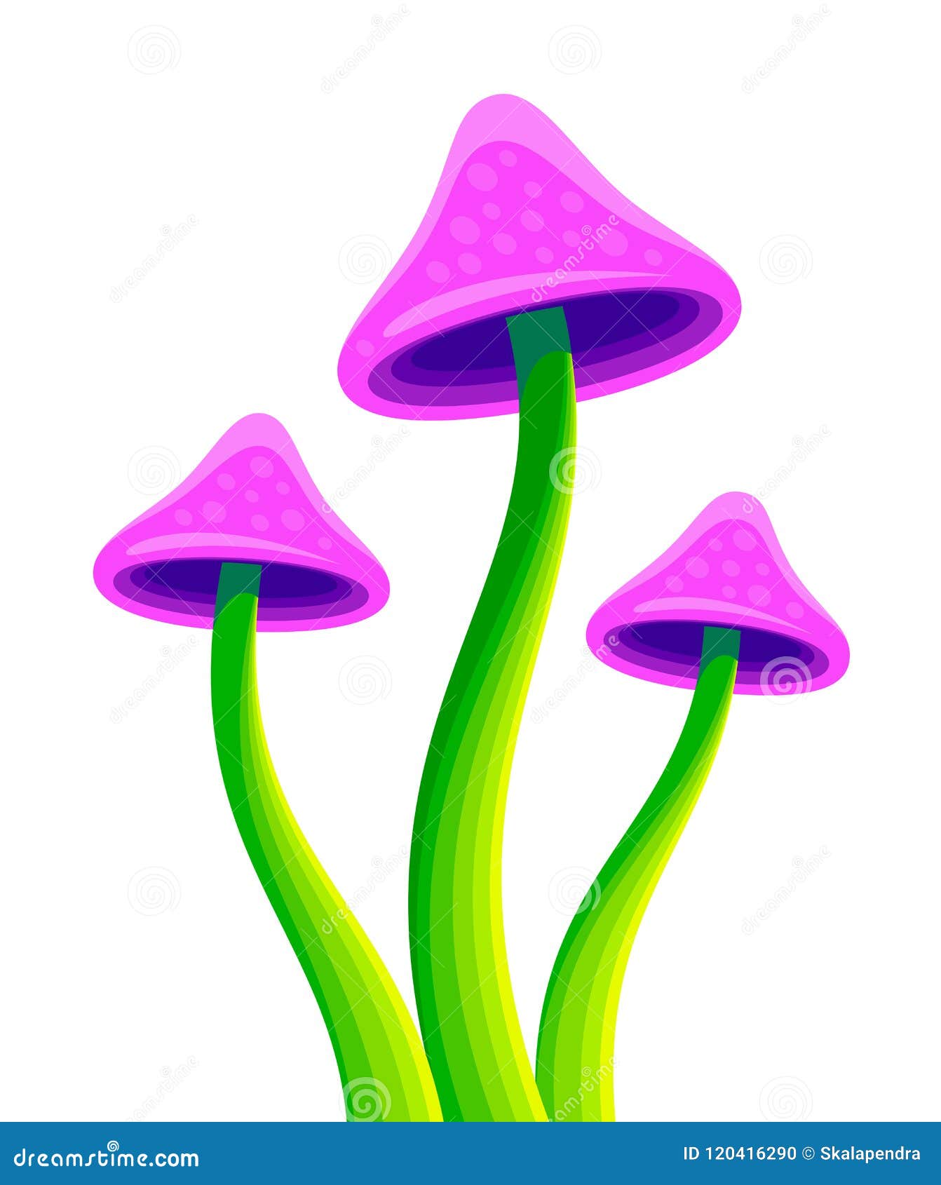 hallucinogenic narcotic mushrooms