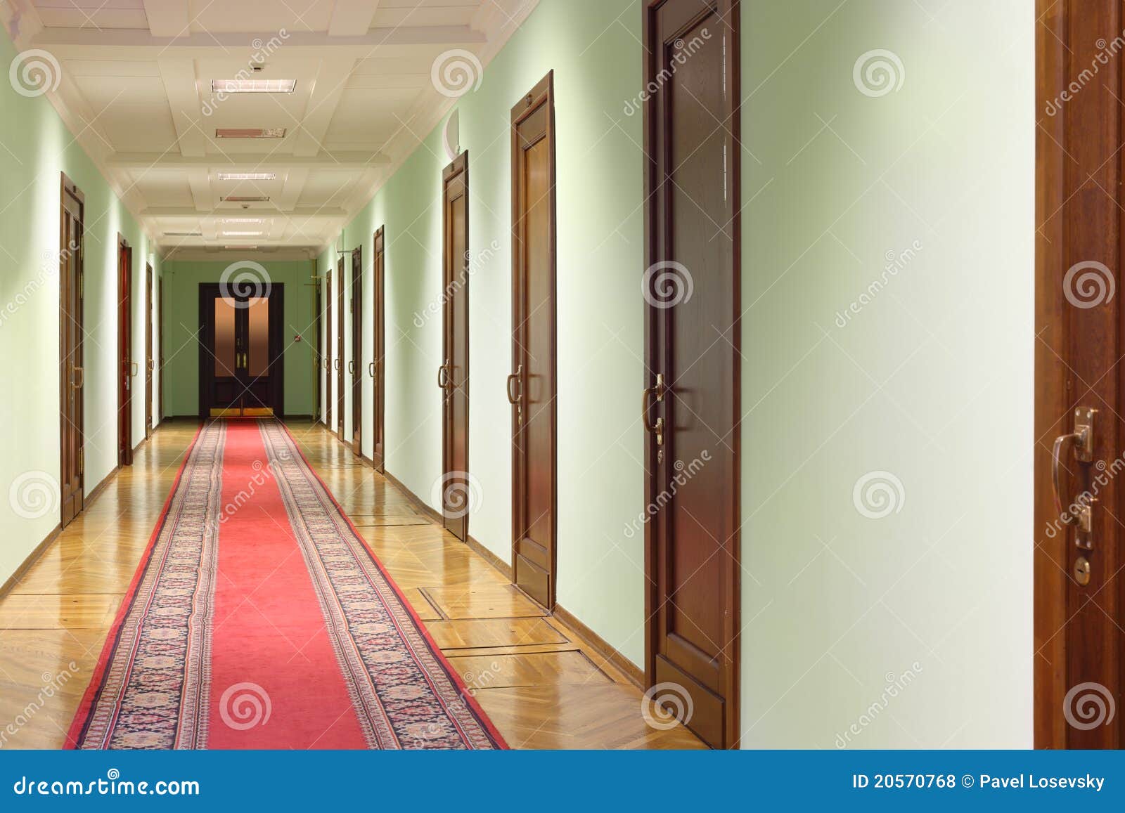 Hallway wit wood doors stock photo. Image of business 20570768