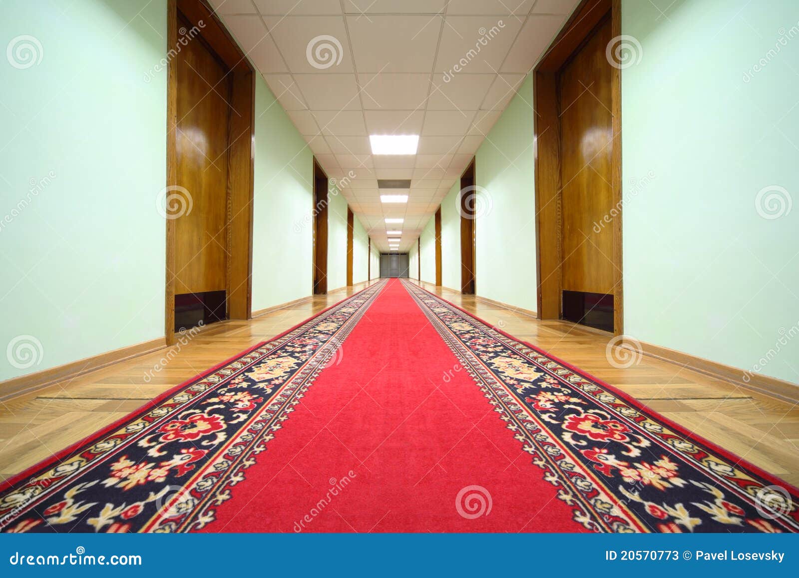Hallway with Wood Doors, End of Corridor Stock Image Image of carpet