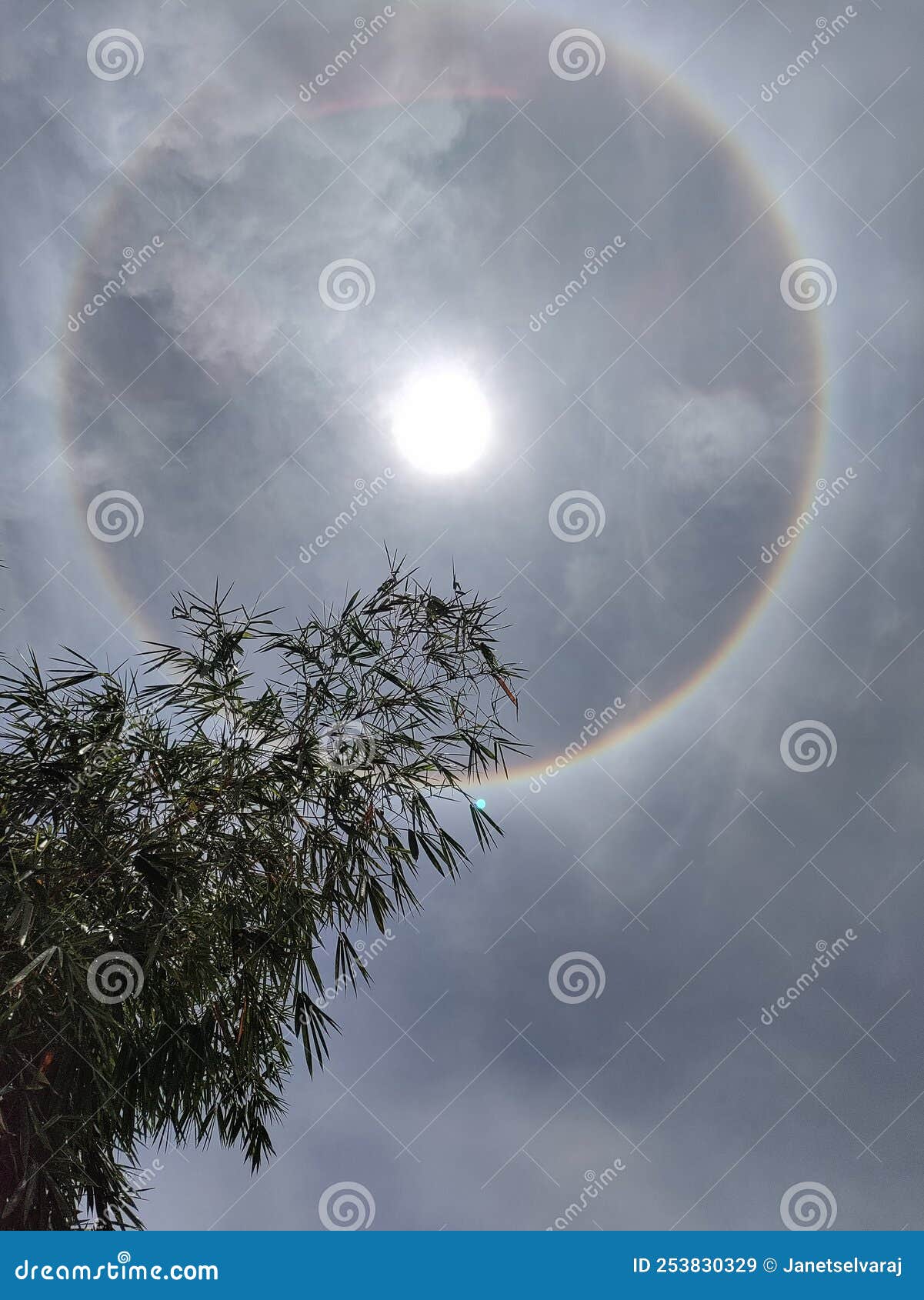 My Image 30
