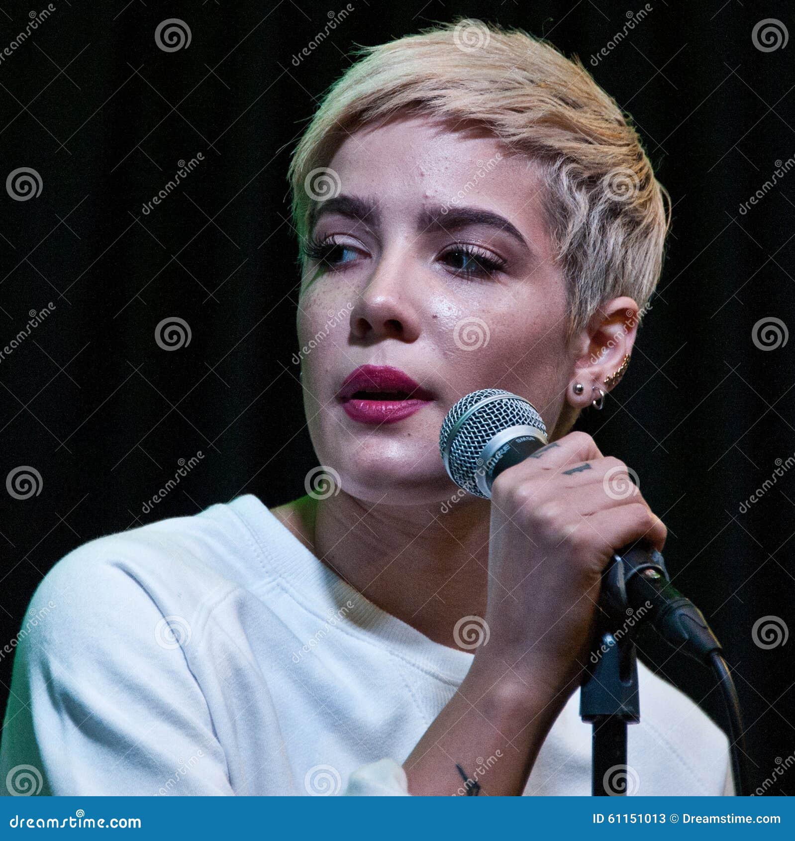 Halsey Foto de Stock Editorial - Imagem: 611510131389 x 1300