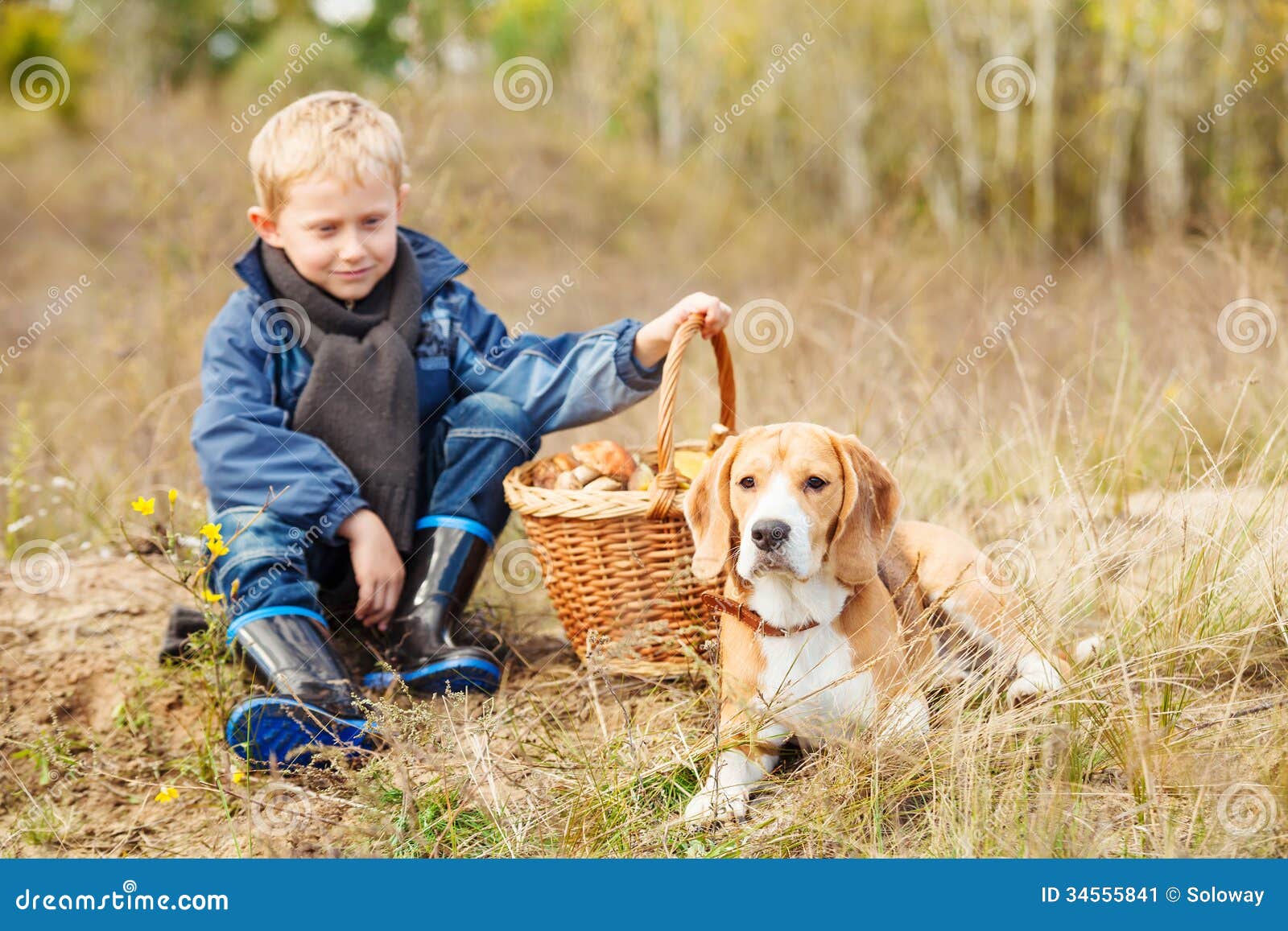 Halt on forest glade. Little boy with his pet resting on the forest glade with basket of mushrooms