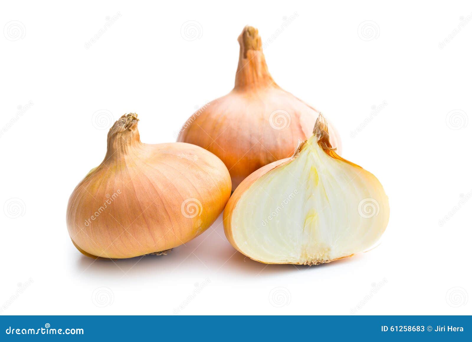 Halved fresh onion stock image. Image of object, culinary 61258683