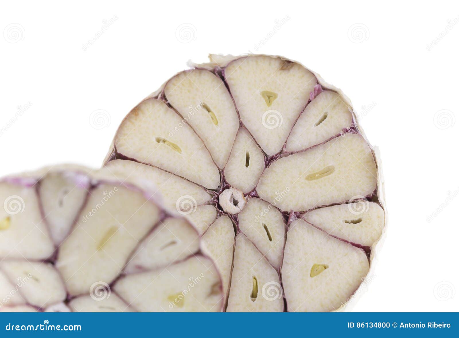 Halved Head of Garlic stock photo. Image of garlic, skin 86134800
