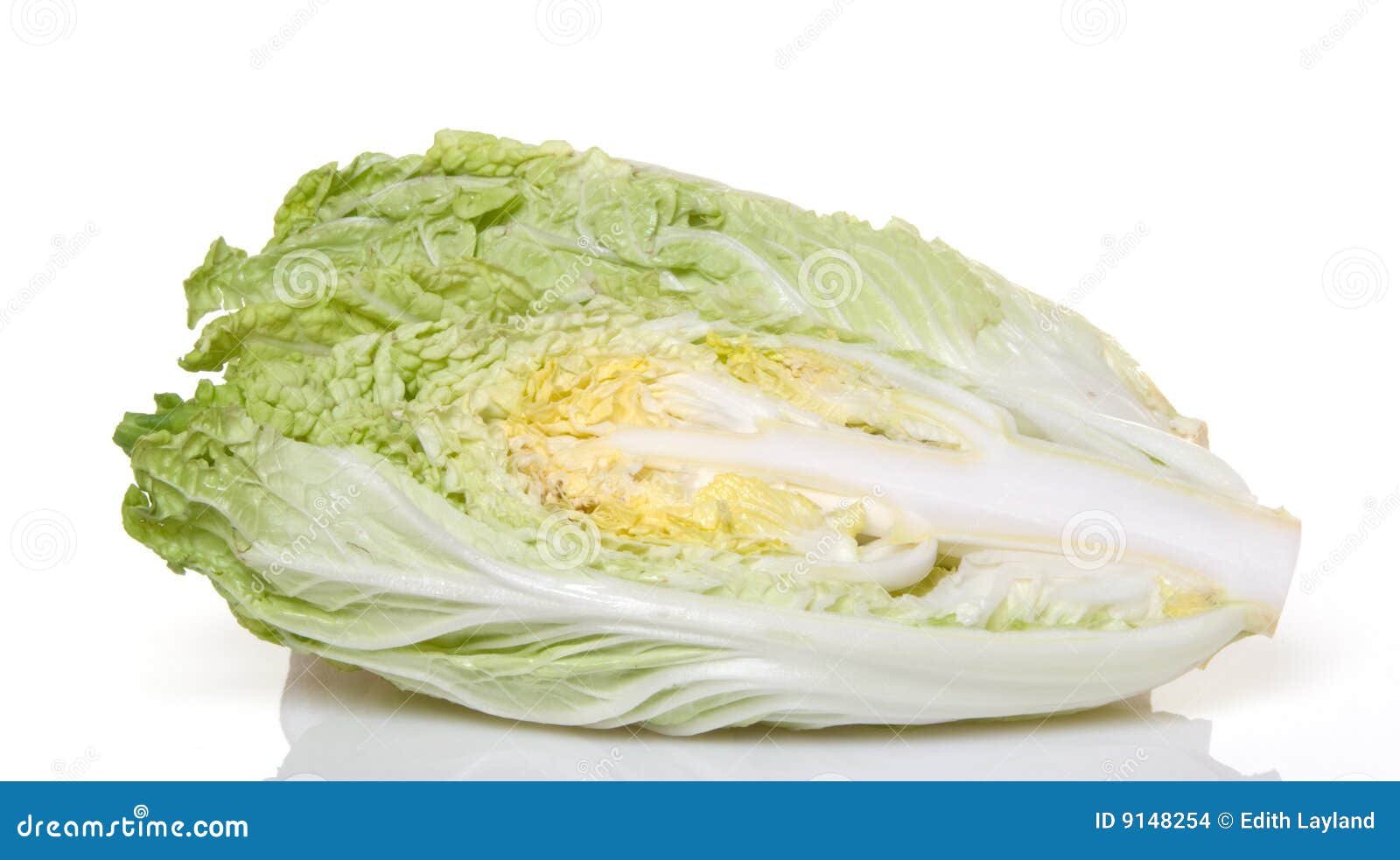 Halved Napa Cabbage stock photo. Image of green, vibrant 9148254
