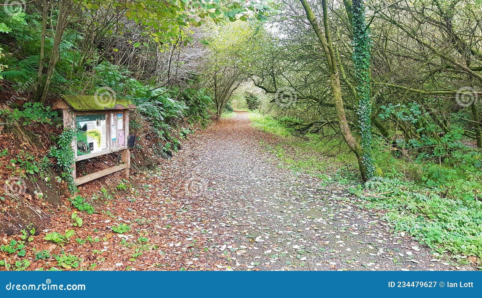 halwill junction disused railway line footpath devon