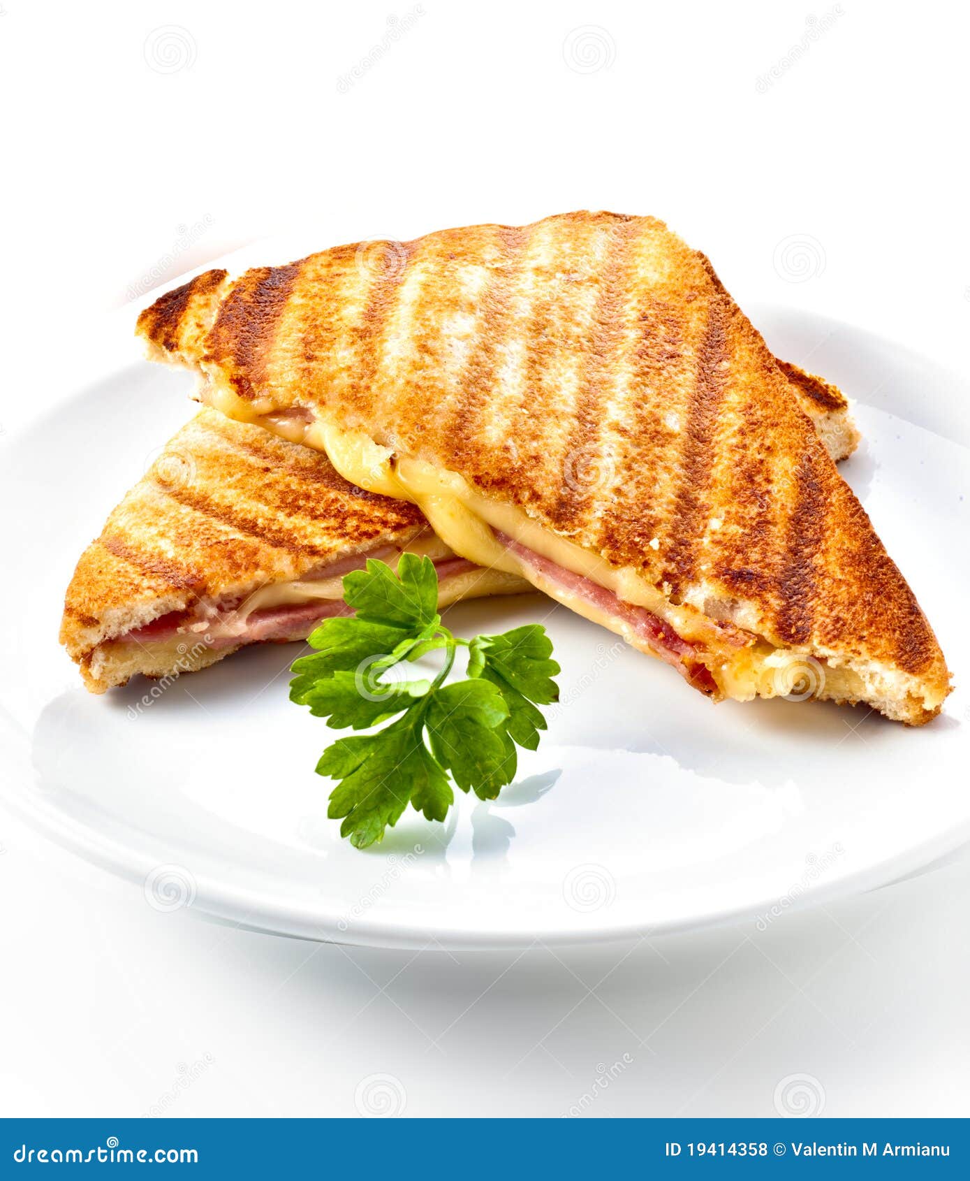 ham and cheese panini sandwich