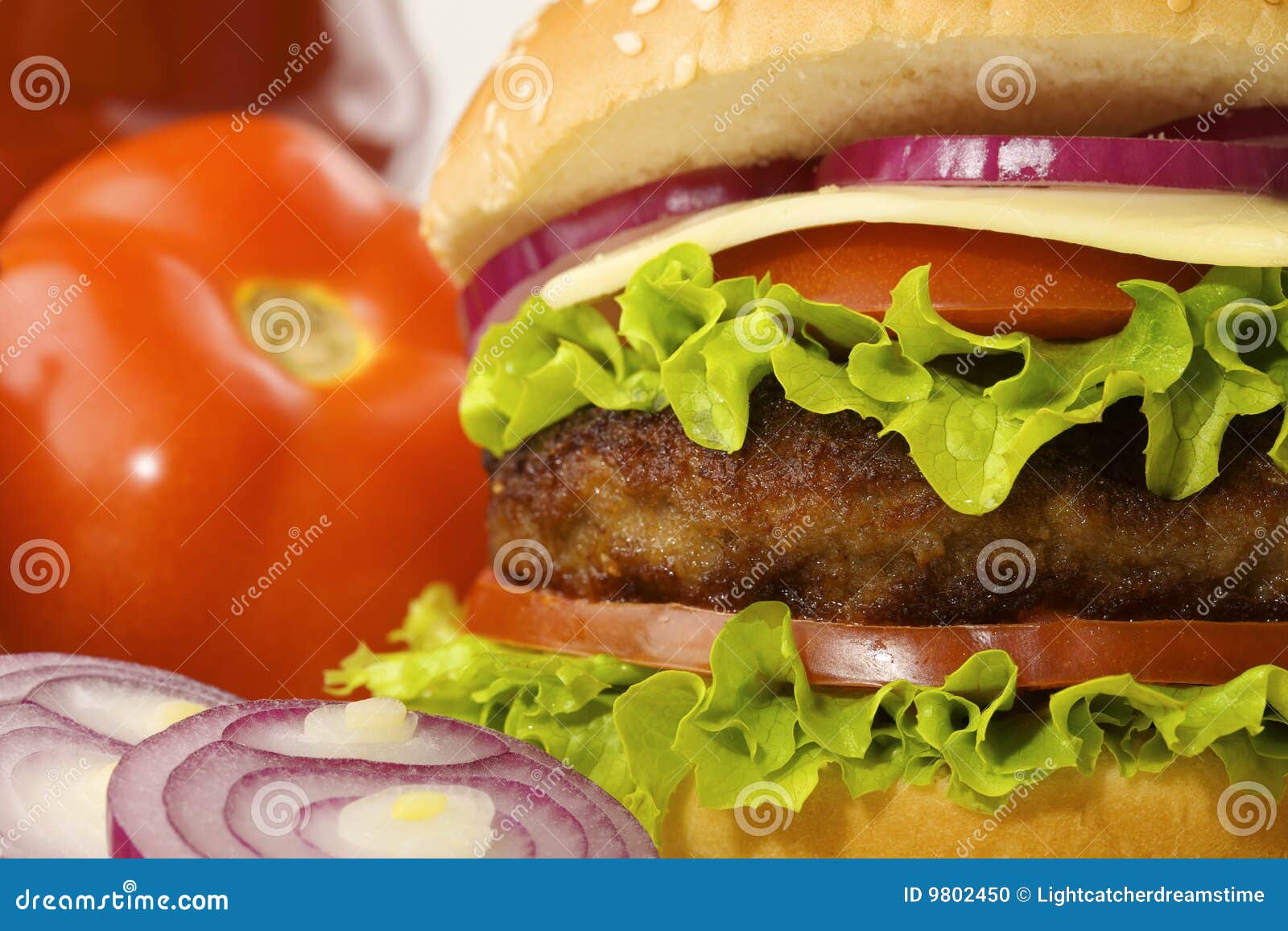 Hamburger with ingredients stock photo. Image of hamburger 9802450