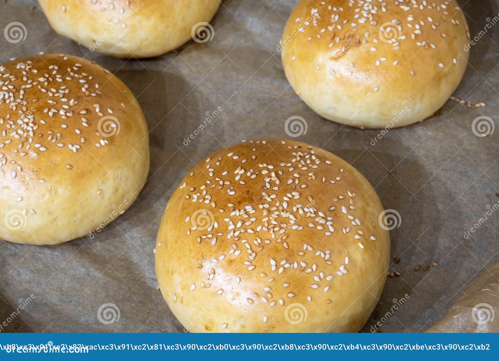 hamburger roll. burger rolls on protvin. ready-made round rolls with sesame seeds