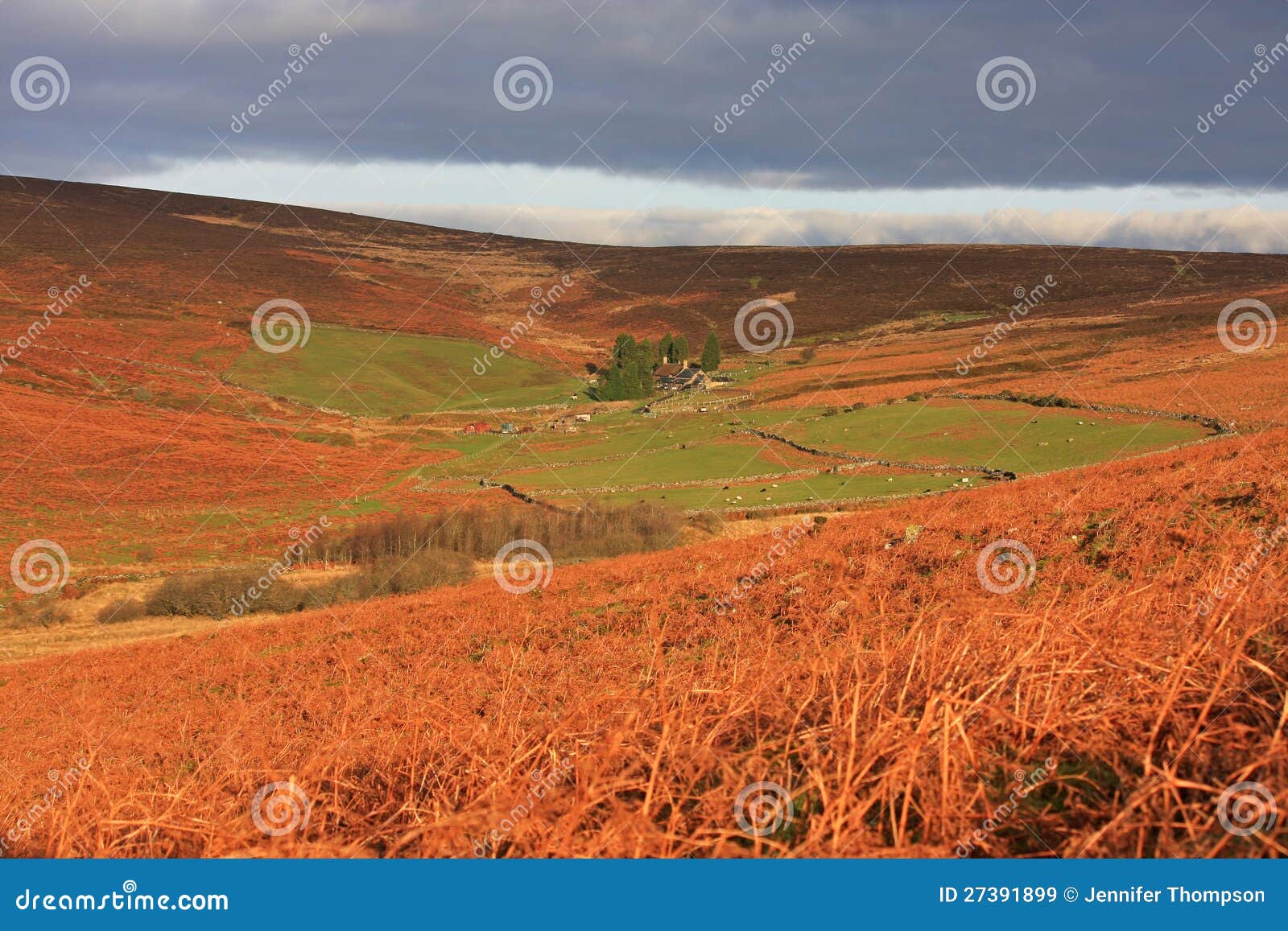Hameldown, Dartmoor stock image. Image of england, dartmoor 27391899