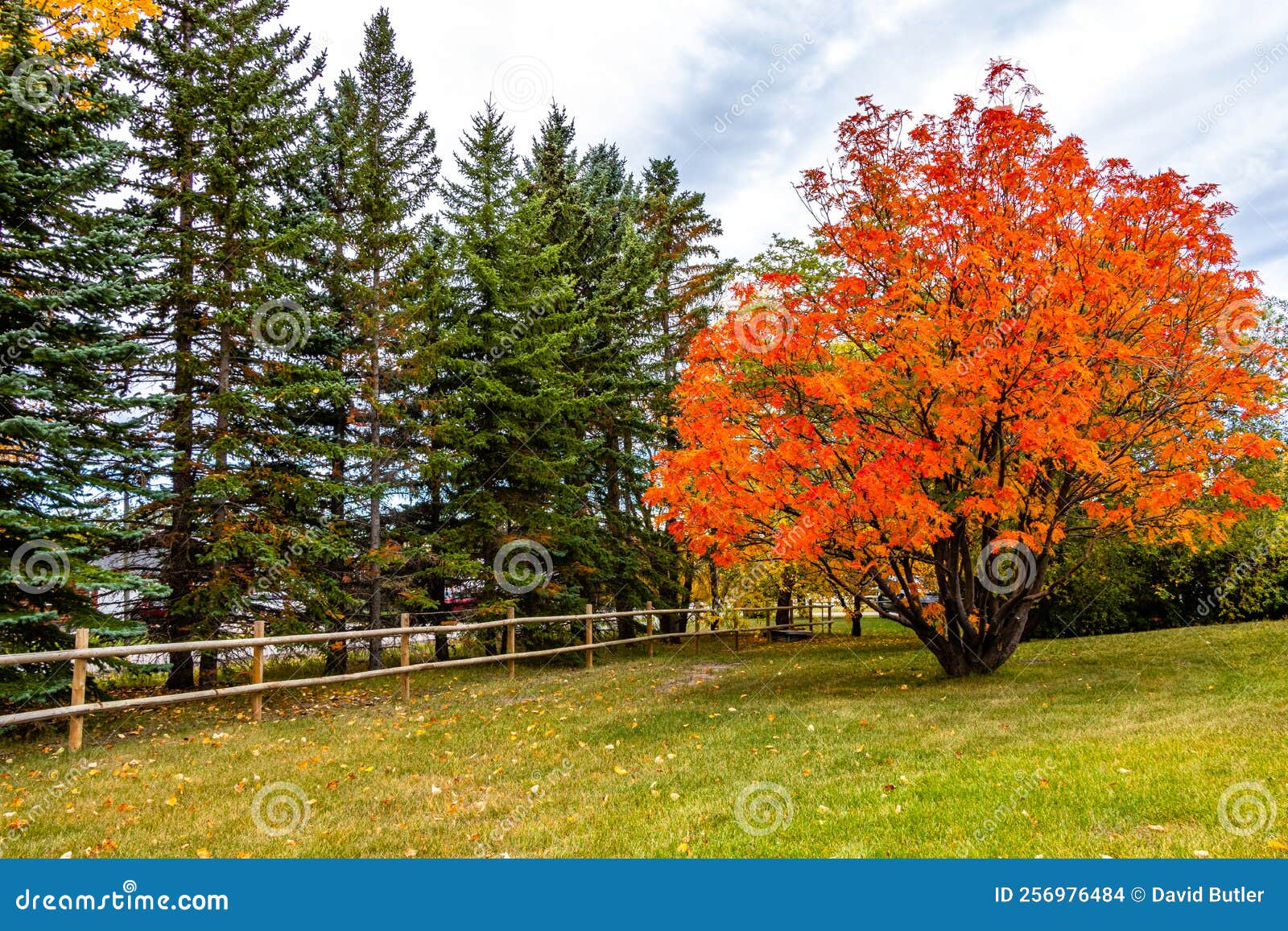 The Hamlet of De Winton in Foothills County Alberta Canada Stock Photo