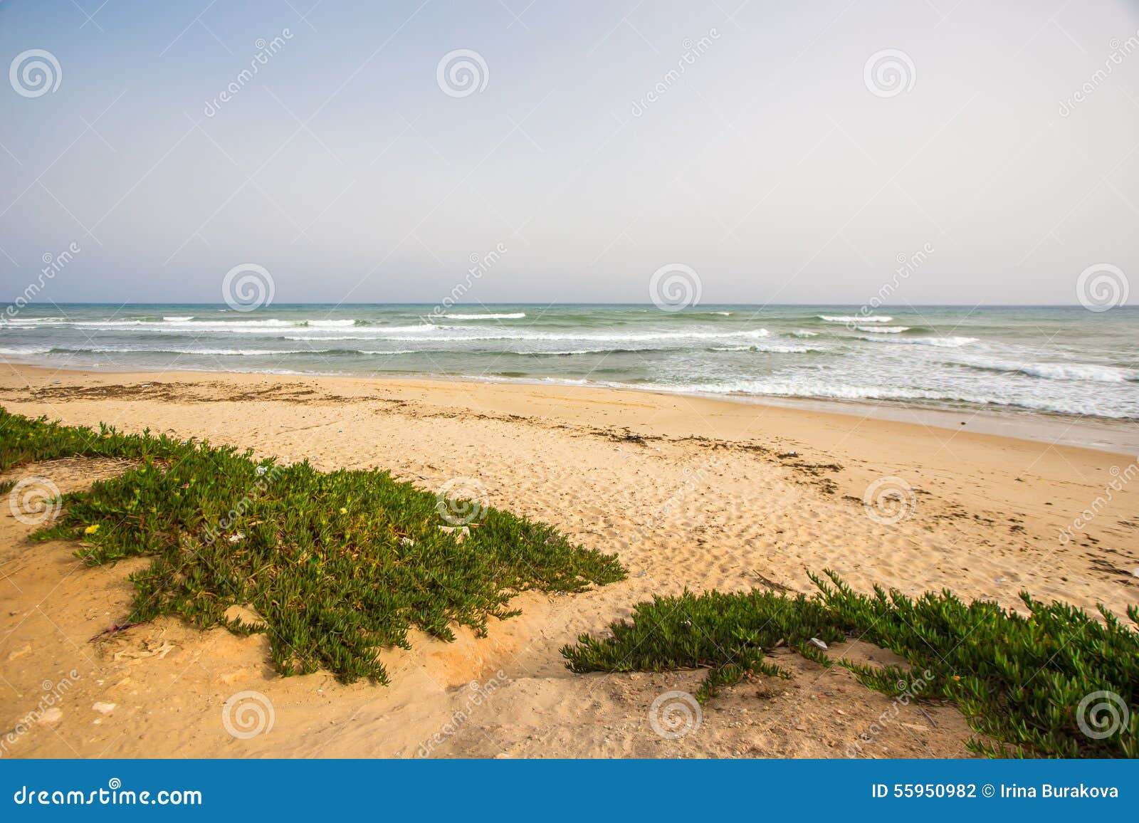 hammamet in tunisia