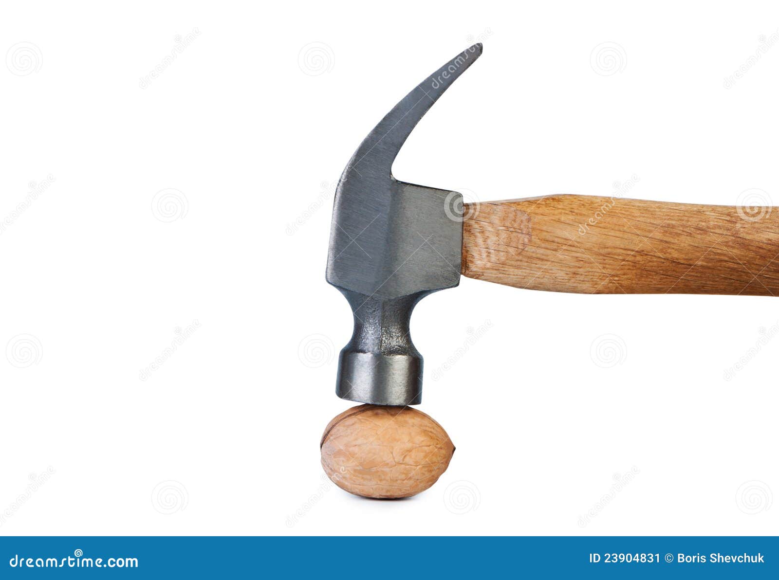 Hammer hits the nut. stock image. Image of destroy, walnut 23904831