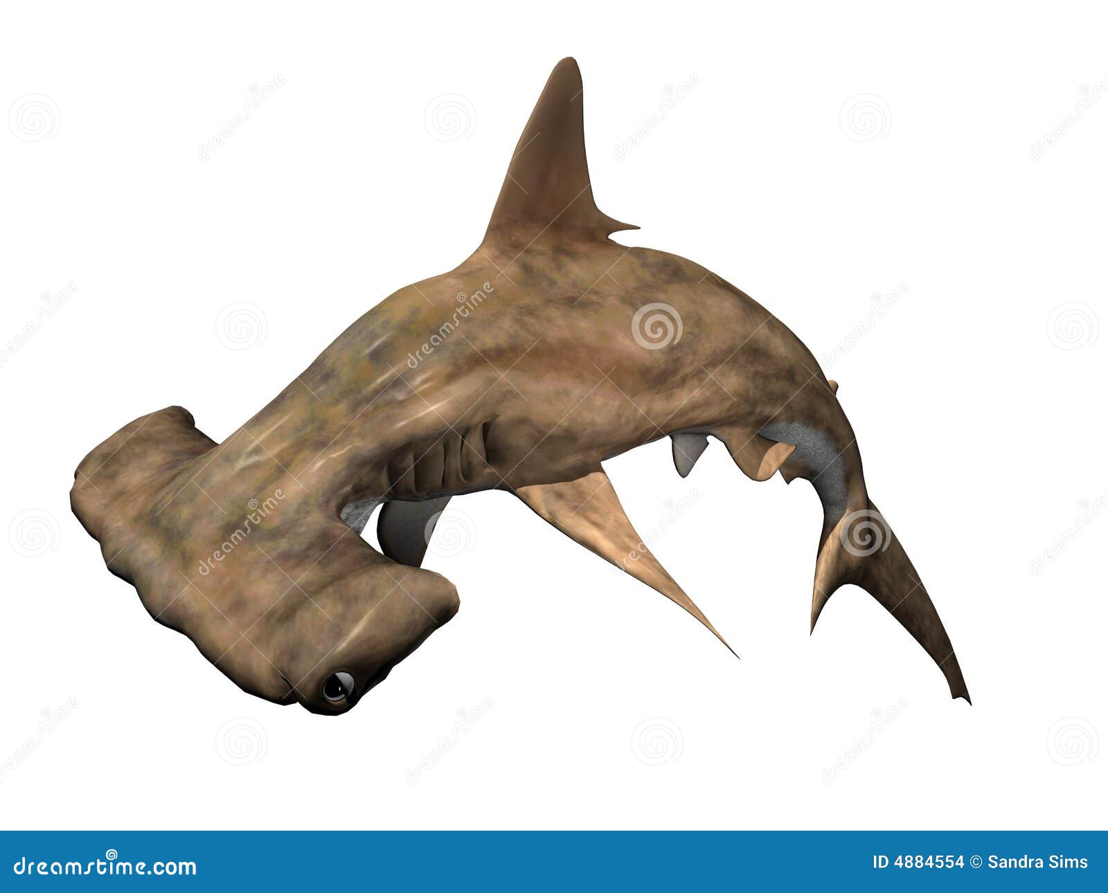 Hammerhead Shark Jumping Out Of Water Cartoon Vector CartoonDealer