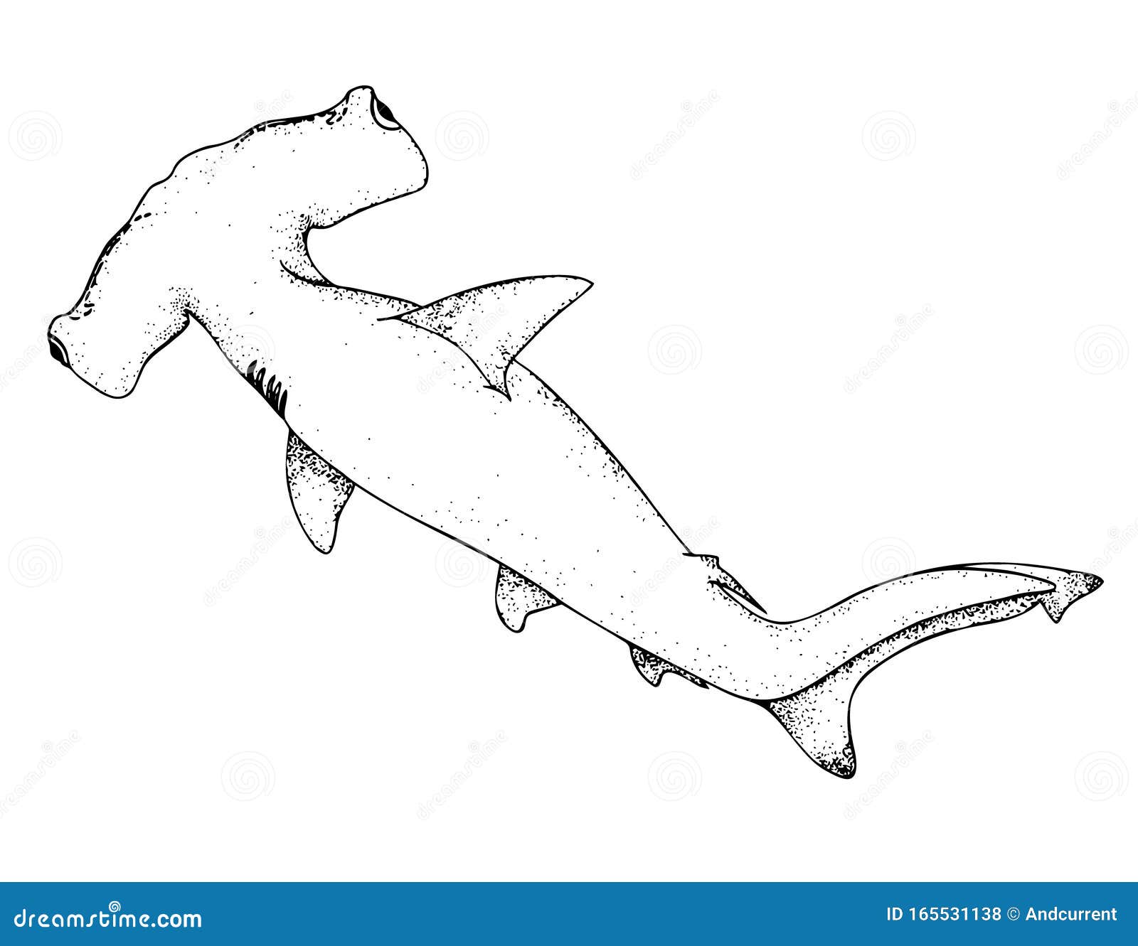 Hammerhead Shark. Black Hand Drawing Outline Vector Image ...
