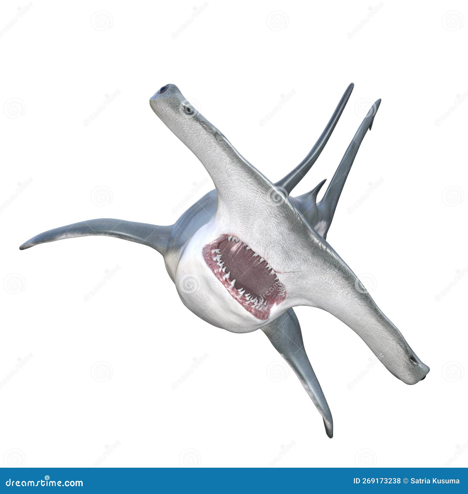 3D Rendering Hammerhead Shark On White Stock Photo | CartoonDealer.com ...