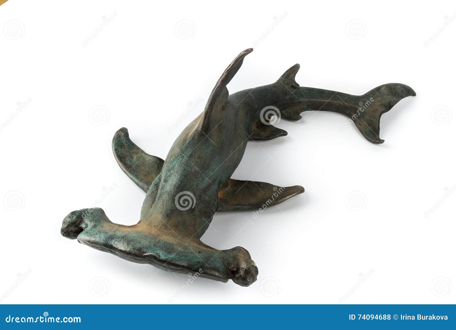 Hammerhead Shark on White Background Stock Photo - Image of tentacle
