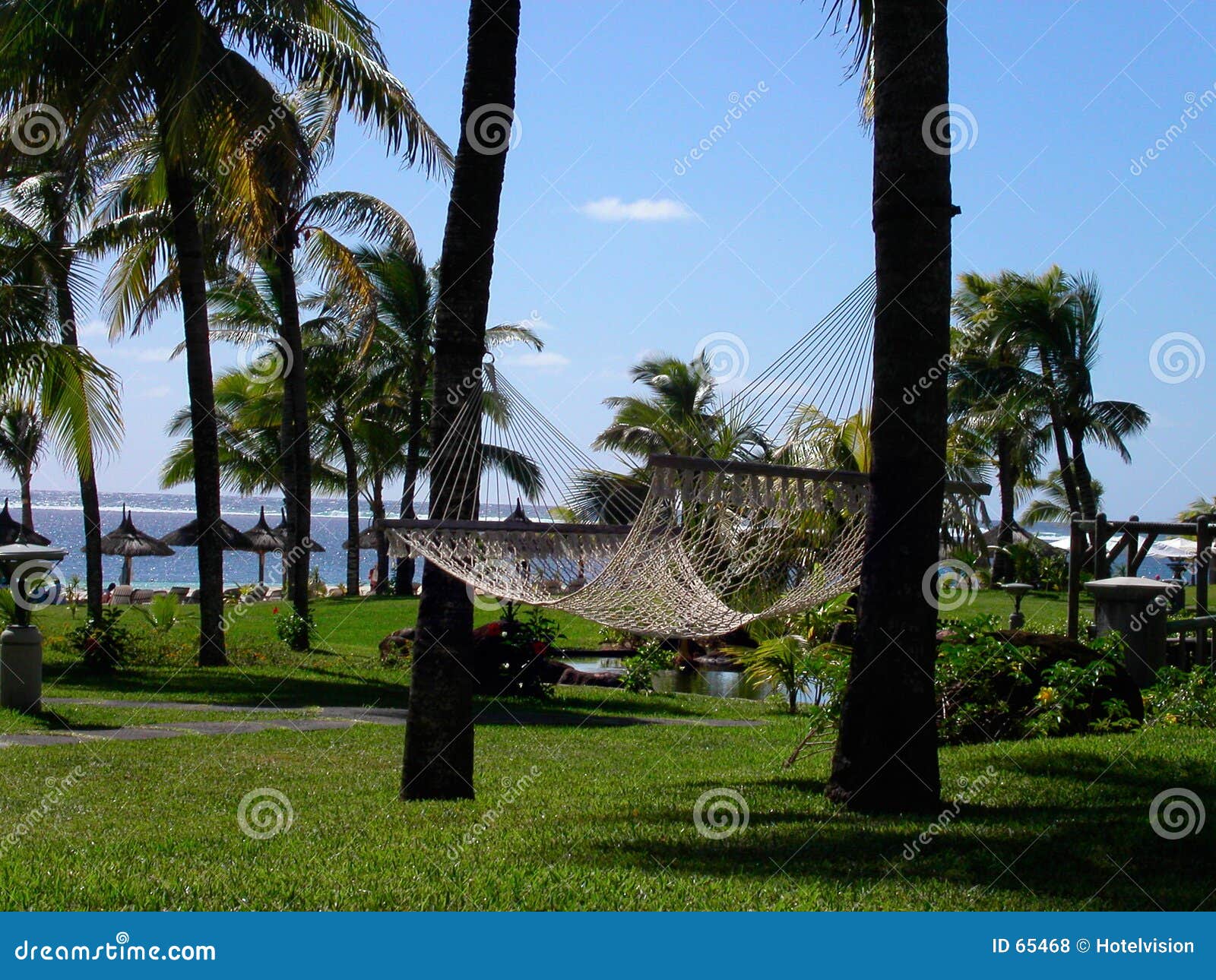 Hammock do jardim