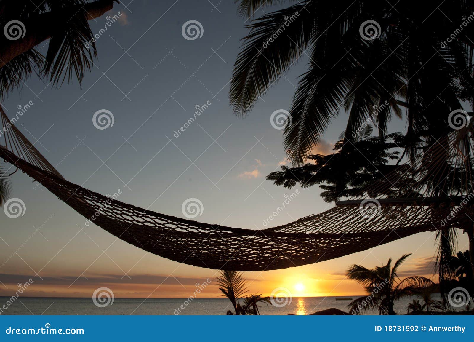 Hammock on Beach at Sunset in Fiji Islands Stock Photo Image of