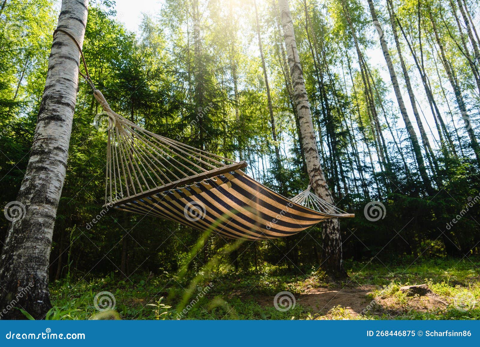 Hammock in the forest stock image. Image of finland 268446875