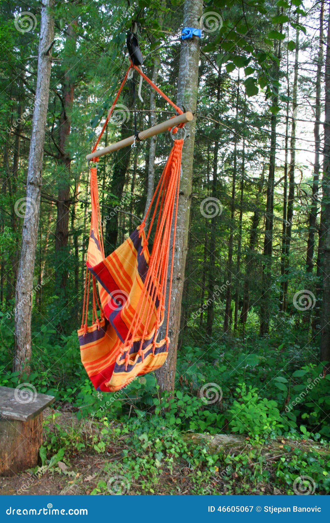 Hammock in the forest stock image. Image of scene, holiday 46605067