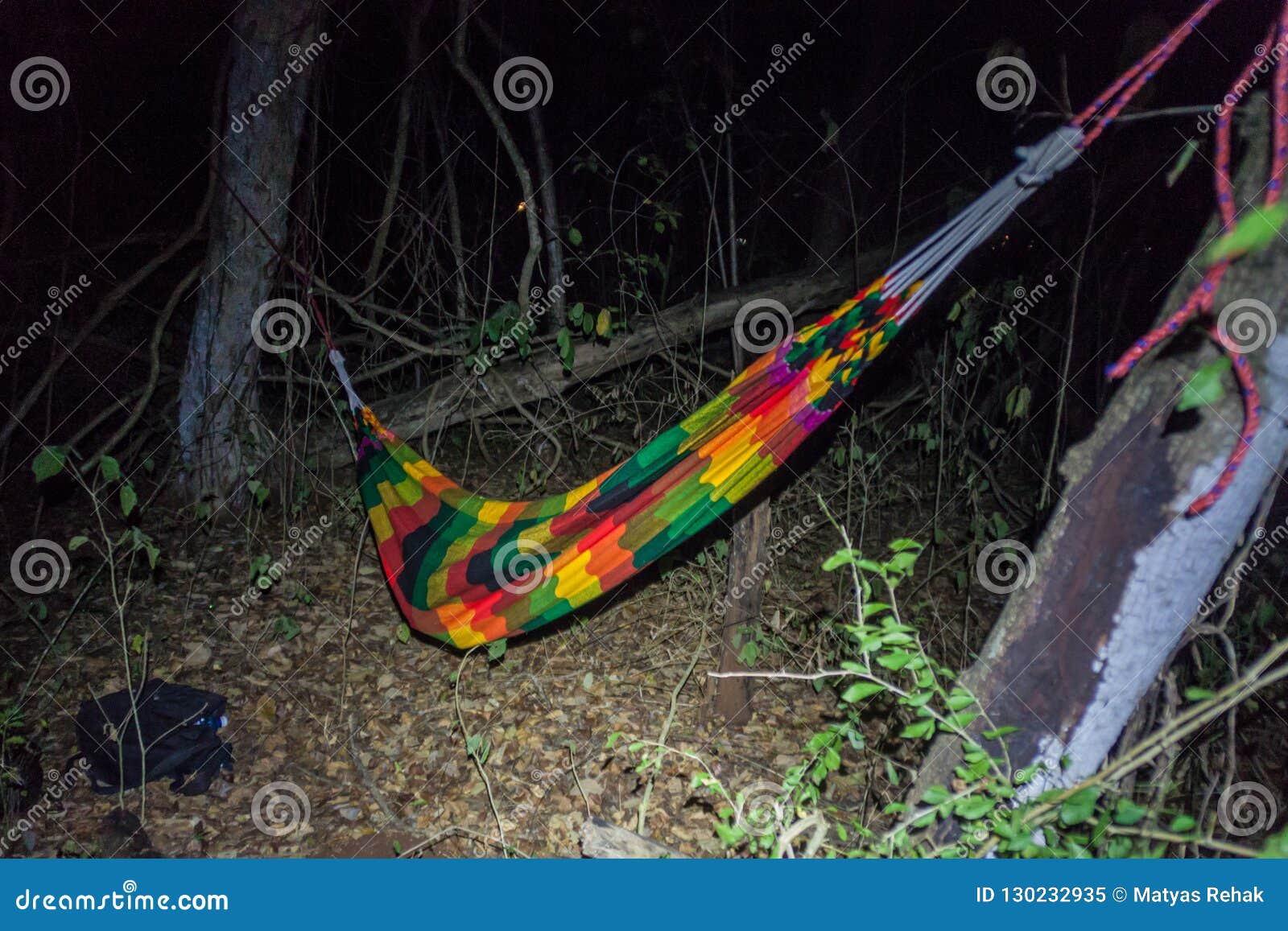 Hammock in a Forest of Yucatan, Mexi Stock Image Image of tropical, relax 130232935