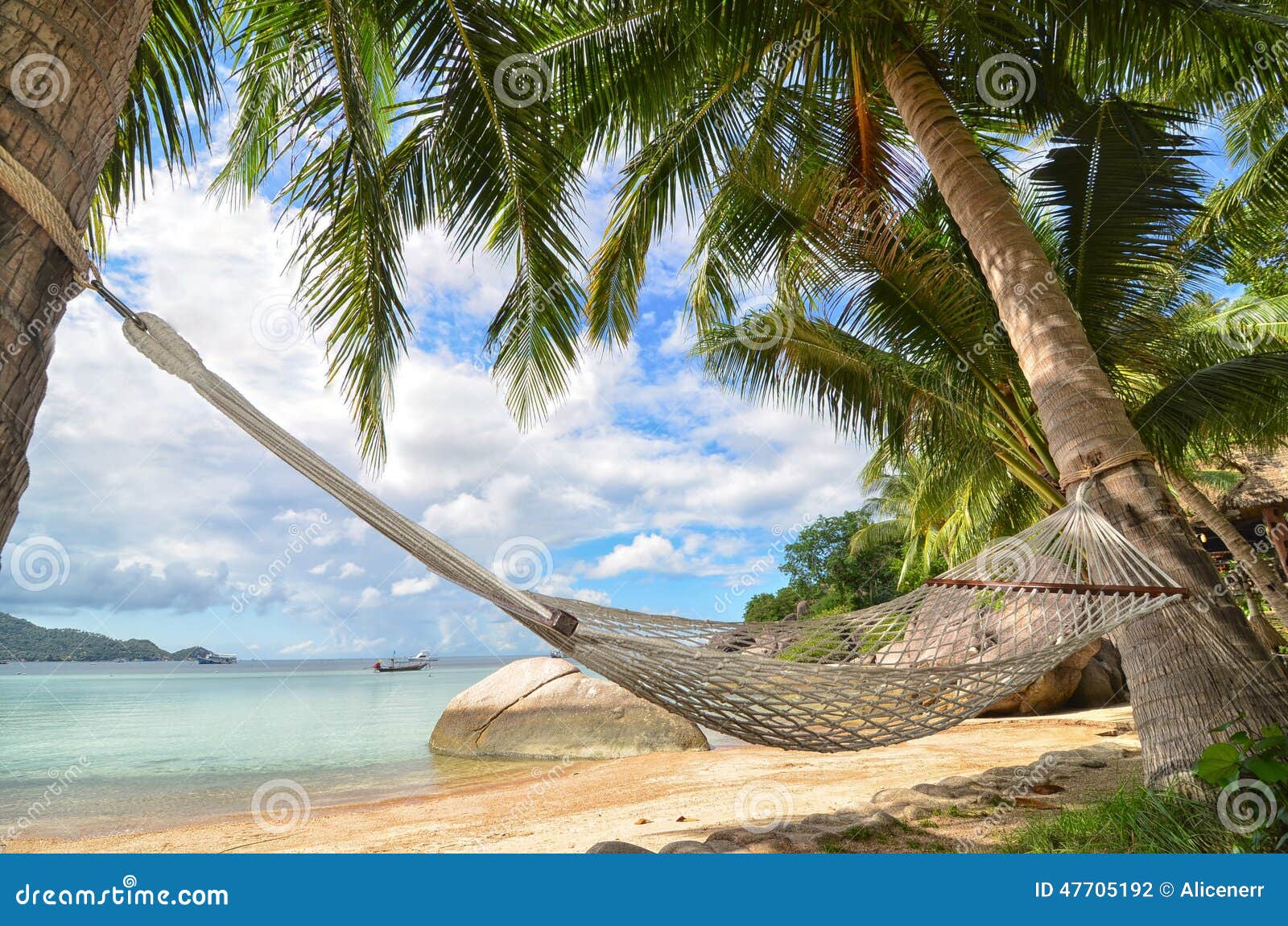 Hammock Hanging between Palm Trees at the Sandy Beach and Sea 