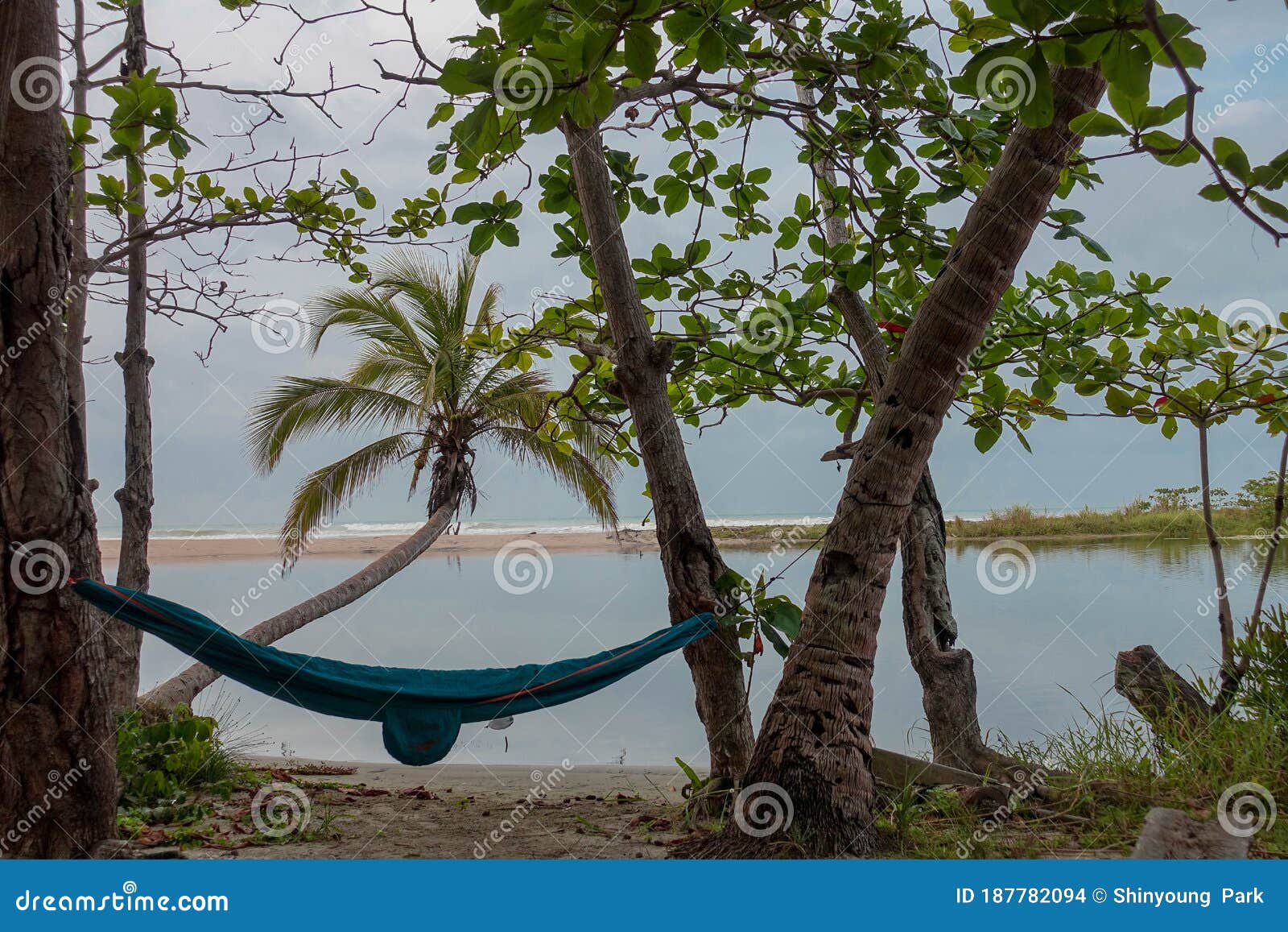 hammock on palm trees  at `rÃÂ­o ancho`, dibulla, la guajira - colombia