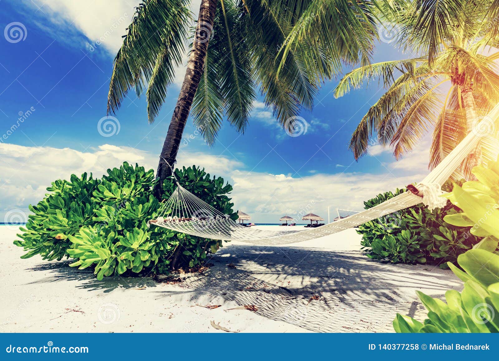 Hammock and Palms on the Beach Stock Photo - Image of maldives, travel ...